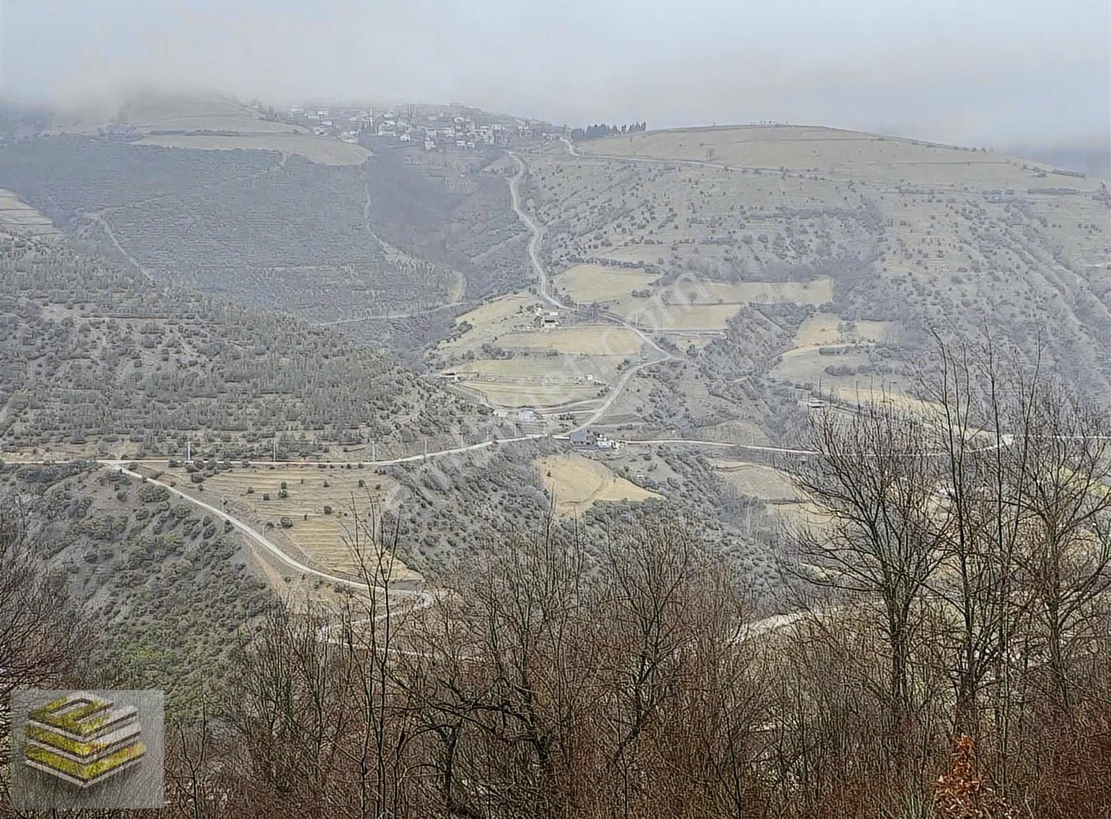 Ekipten Satılık 1298 M2 Tarla Orman İçi Kafa Dinlemelik Yer - Görsel 3