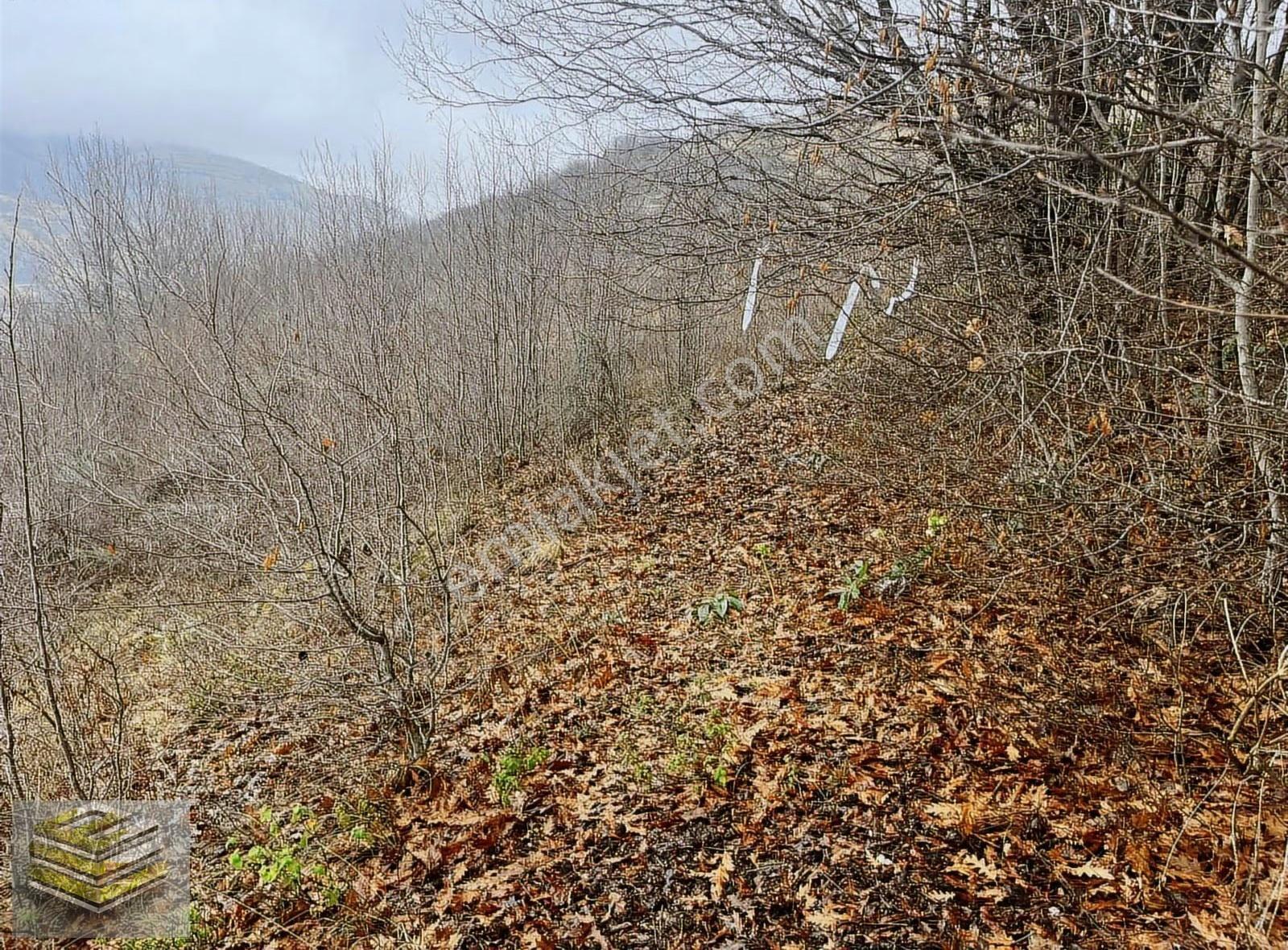 Ekipten Satılık 1298 M2 Tarla Orman İçi Kafa Dinlemelik Yer - Görsel 8