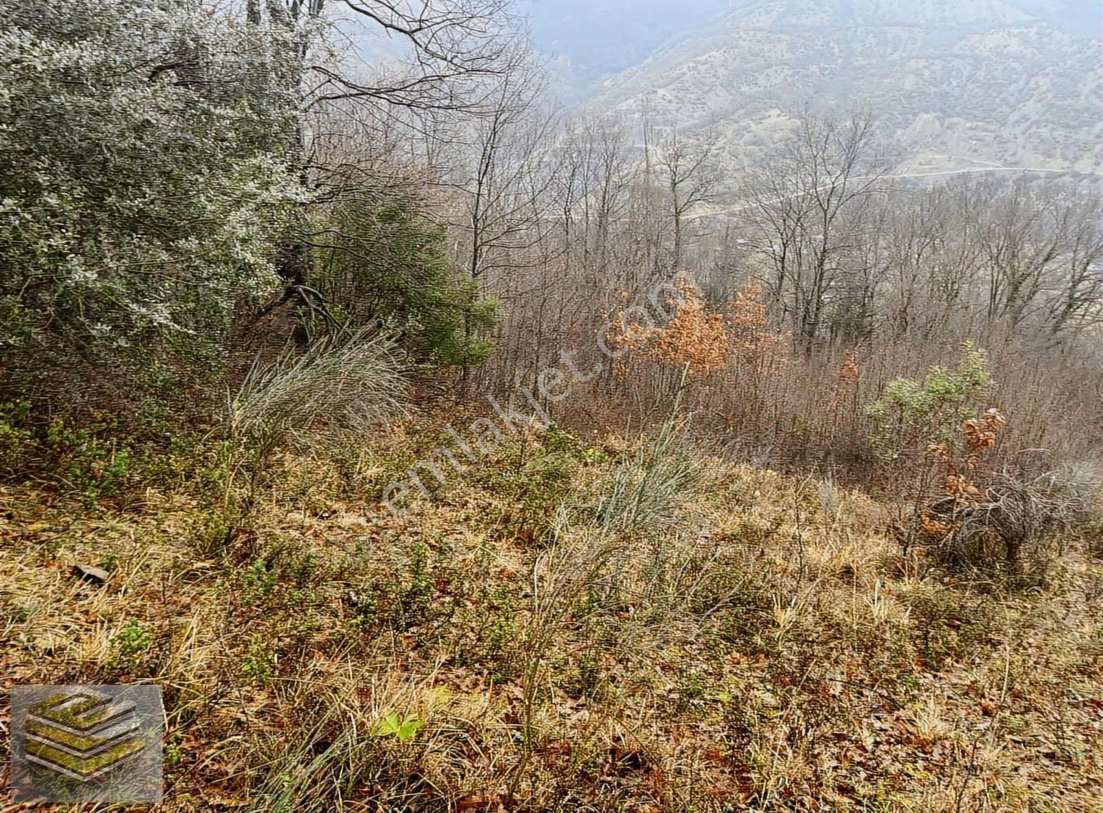 Ekipten Satılık 1298 M2 Tarla Orman İçi Kafa Dinlemelik Yer - Görsel 2