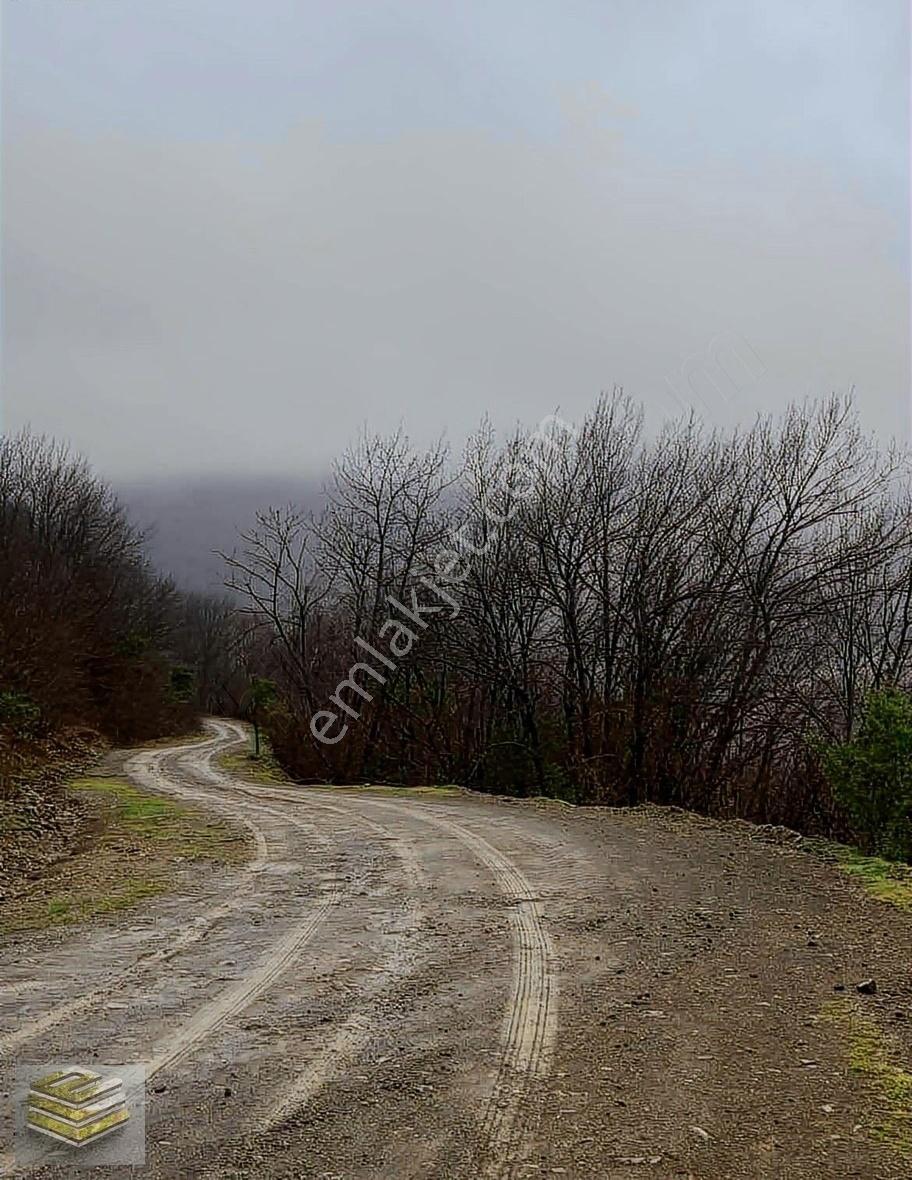 Ekipten Satılık 1298 M2 Tarla Orman İçi Kafa Dinlemelik Yer - Görsel 11