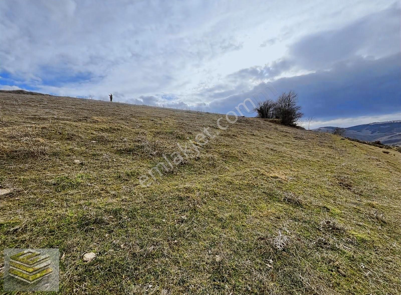 Canik Kızıloğlakta 4455 M2 Tarla Deniz Manzaralı Emsalsiz - Görsel 3