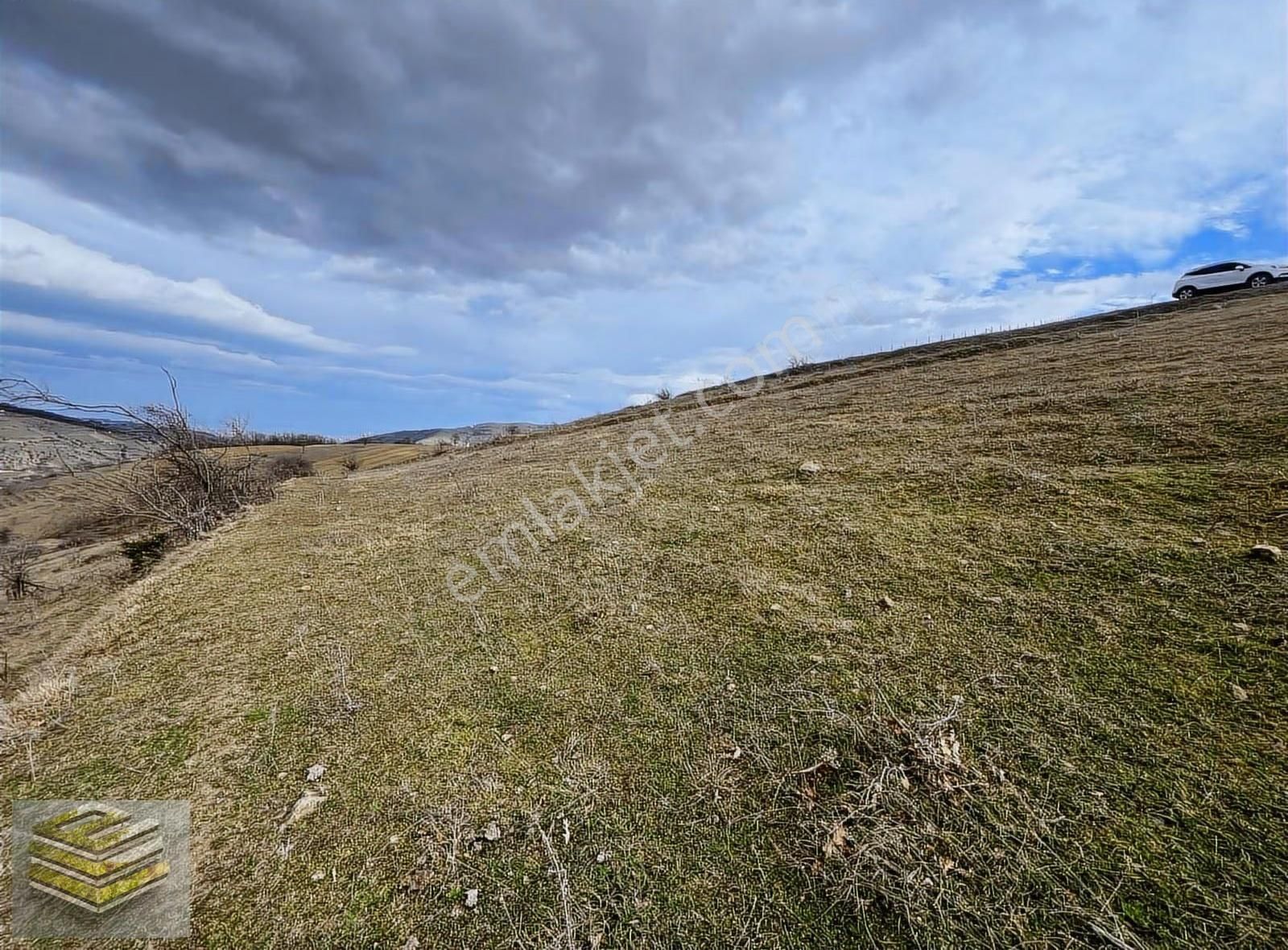 Canik Kızıloğlakta 4455 M2 Tarla Deniz Manzaralı Emsalsiz - Görsel 7