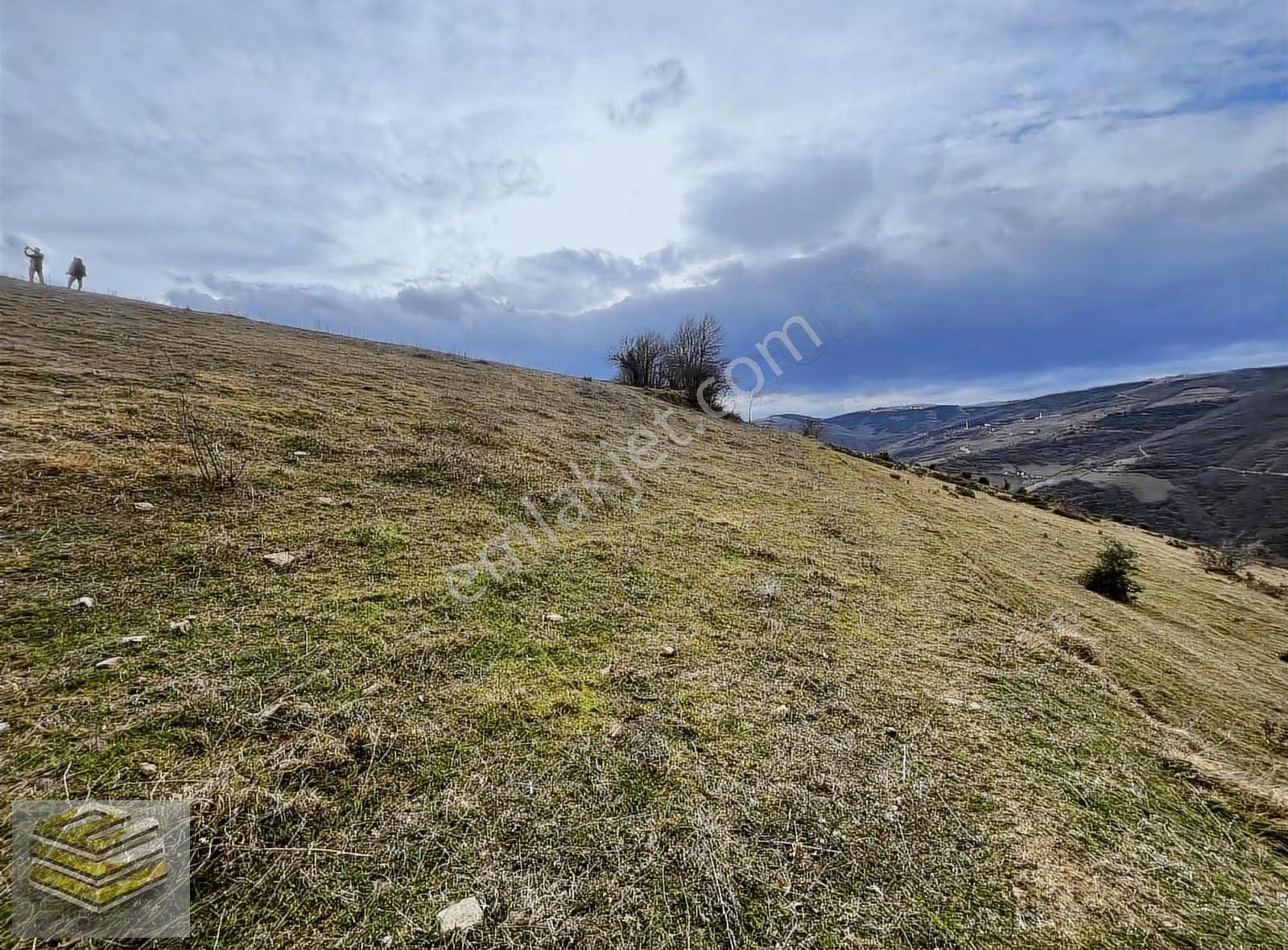 Canik Kızıloğlakta 4455 M2 Tarla Deniz Manzaralı Emsalsiz - Görsel 6