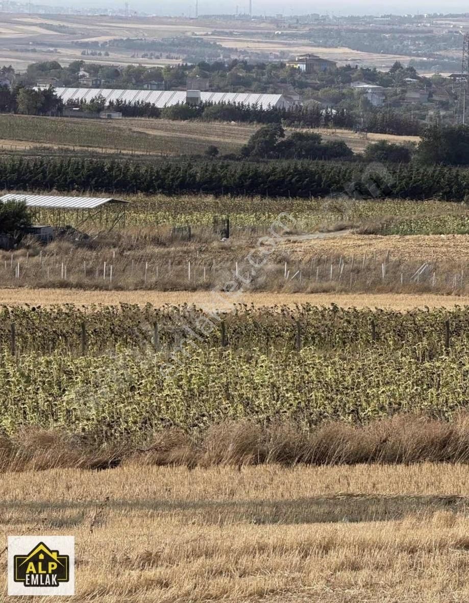 Silivri Büyükkılıclı İmara Yakın Full Denizmanzaralı Tektapu - Görsel 5
