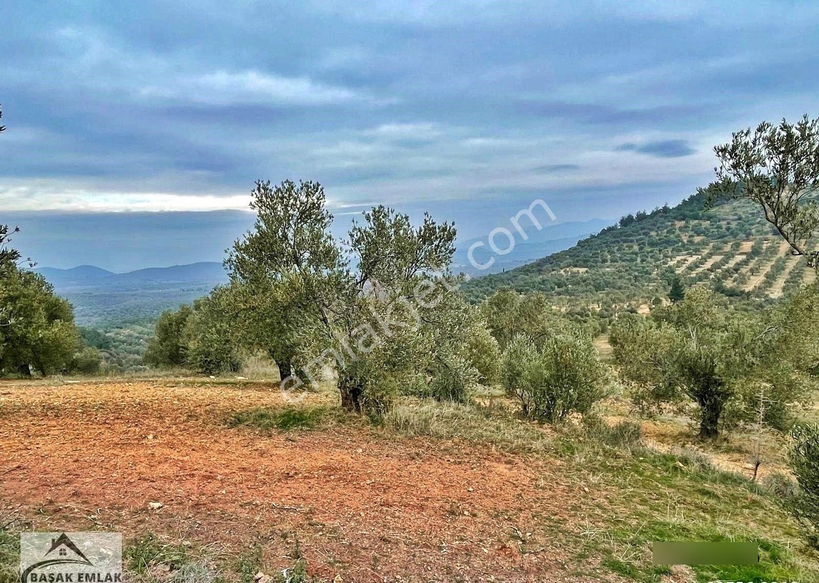 Yetkili Ofisten Satılık 19dönüm Çift Cephesi Resmi Yol Zeytinlik - Görsel 5