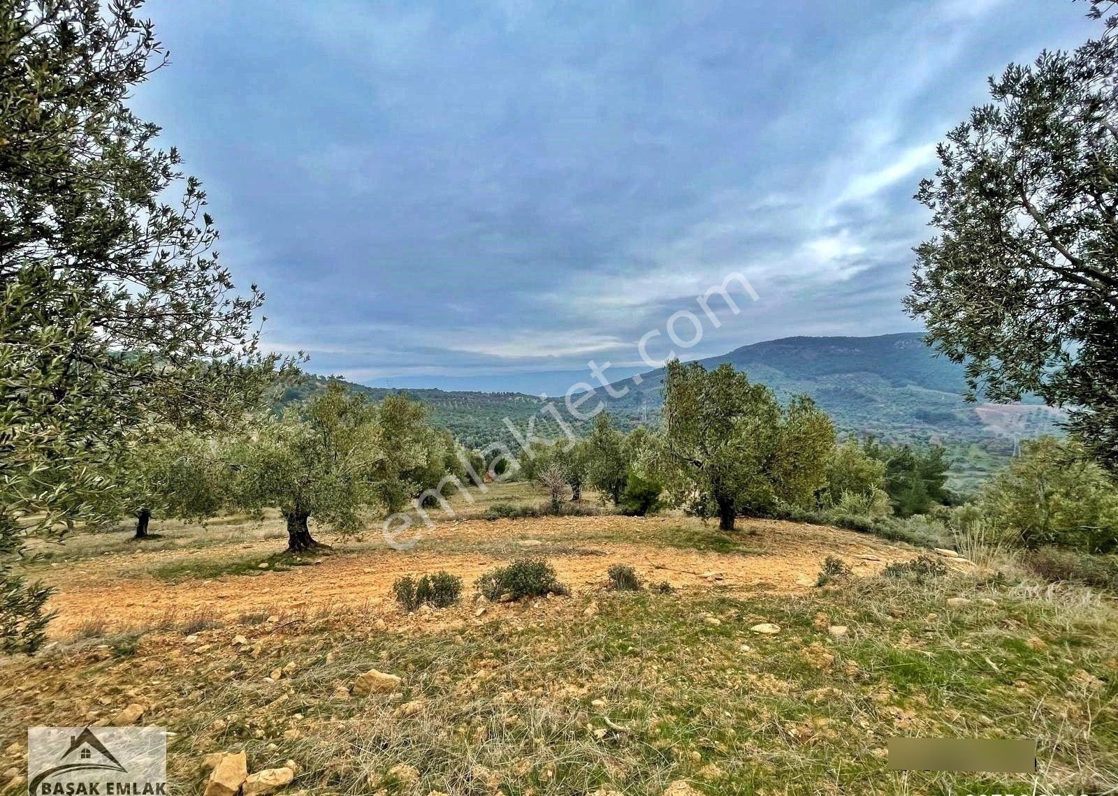 Yetkili Ofisten Satılık 19dönüm Çift Cephesi Resmi Yol Zeytinlik - Görsel 6