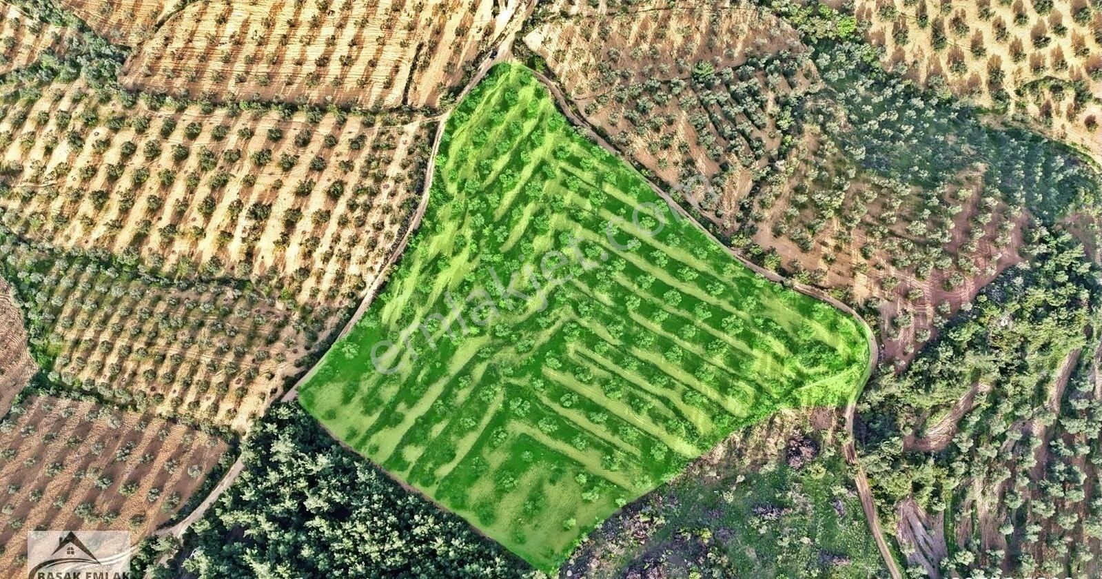 Yetkili Ofisten Satılık 19dönüm Çift Cephesi Resmi Yol Zeytinlik - Görsel 30