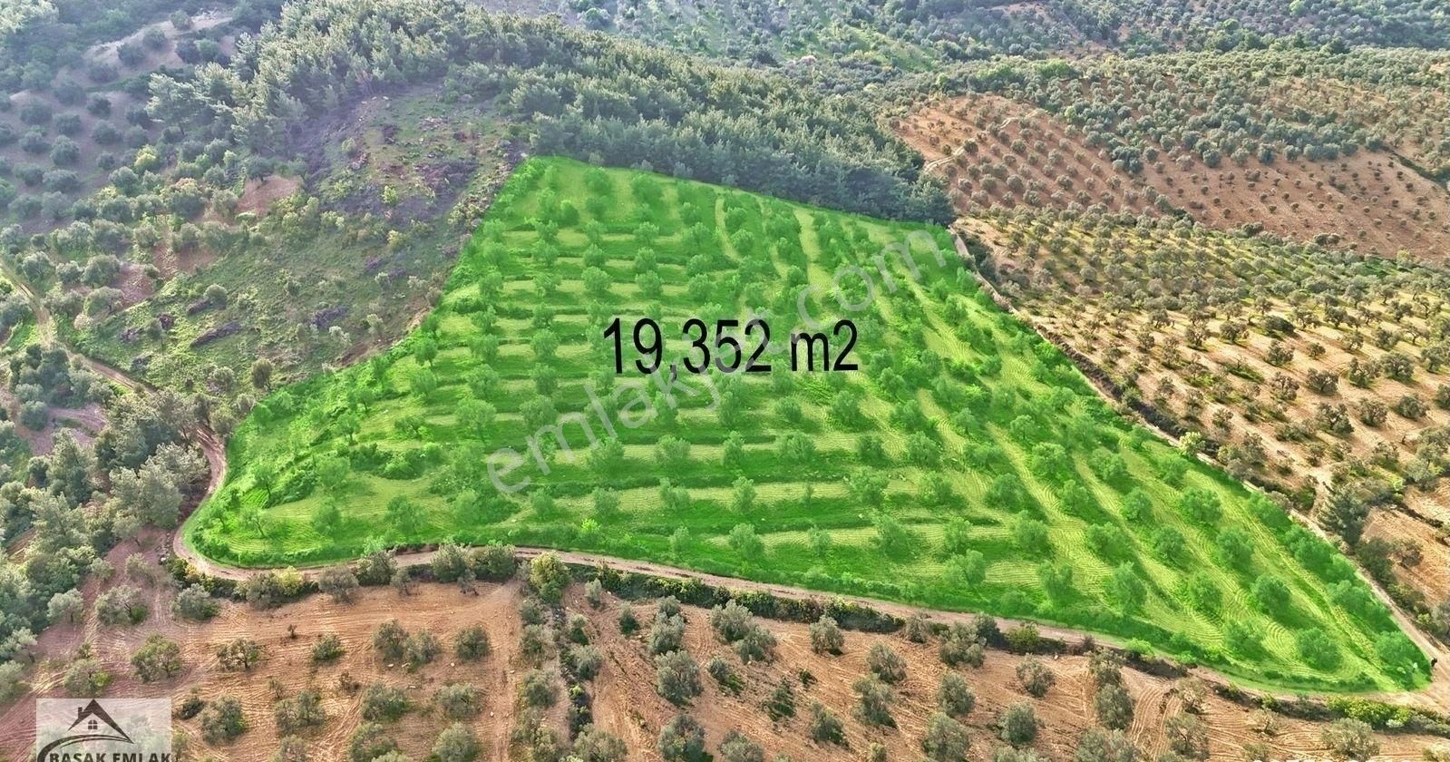 Yetkili Ofisten Satılık 19dönüm Çift Cephesi Resmi Yol Zeytinlik - Görsel 34