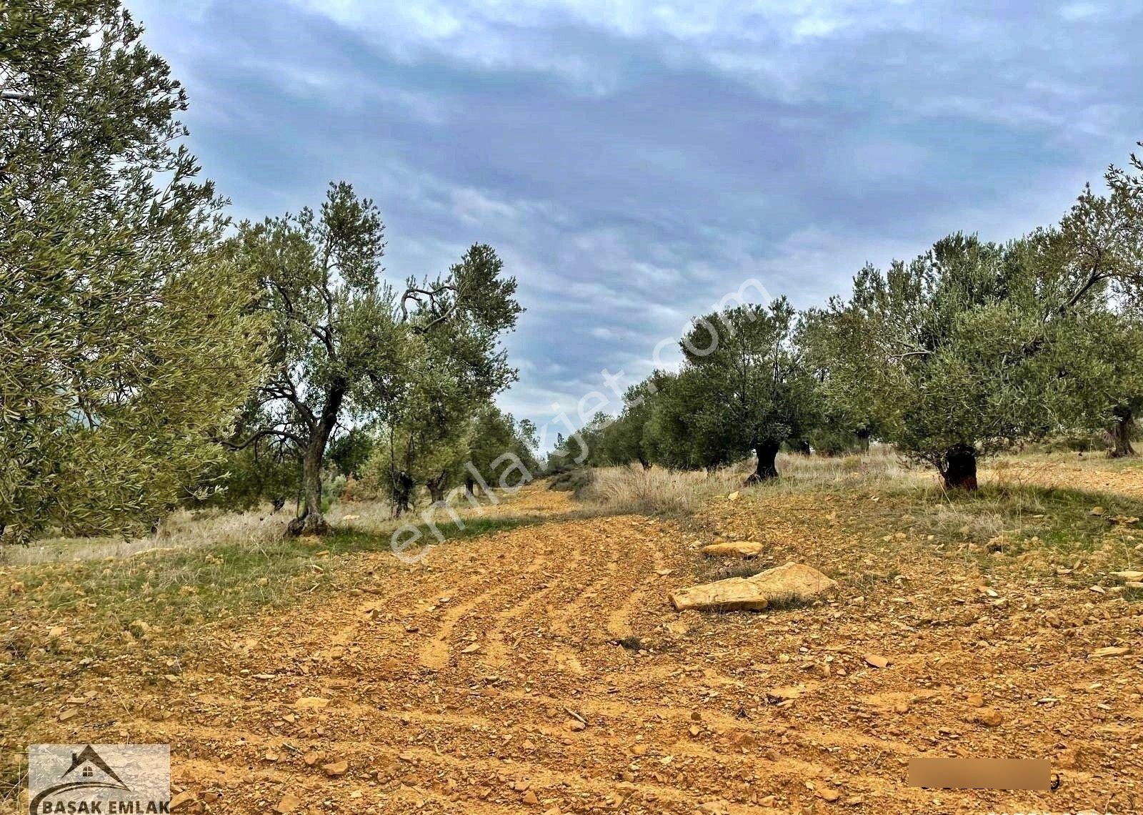 Yetkili Ofisten Satılık 19dönüm Çift Cephesi Resmi Yol Zeytinlik - Görsel 4