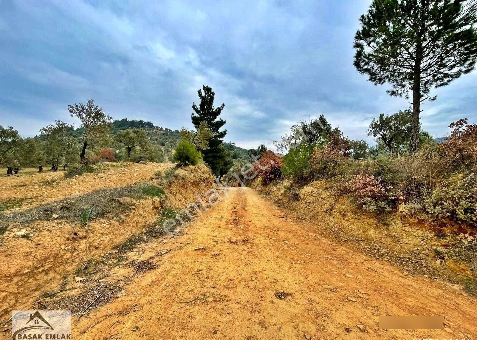 Yetkili Ofisten Satılık 19dönüm Çift Cephesi Resmi Yol Zeytinlik - Görsel 25