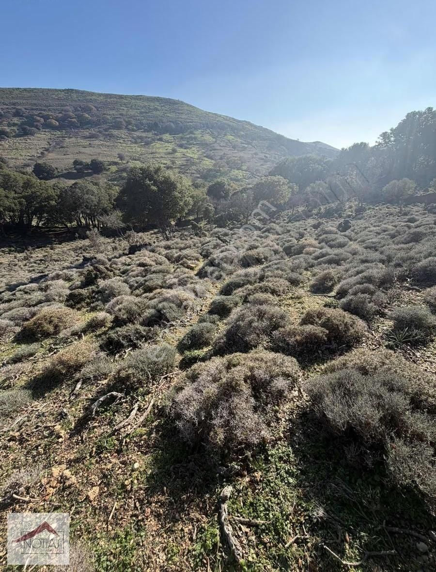 Notıas Real Estate Gayrimenkul'den 8.427 M2 Tarla - Görsel 12