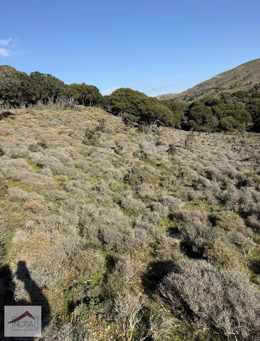 Notıas Real Estate Gayrimenkul'den 8.427 M2 Tarla - Görsel 4