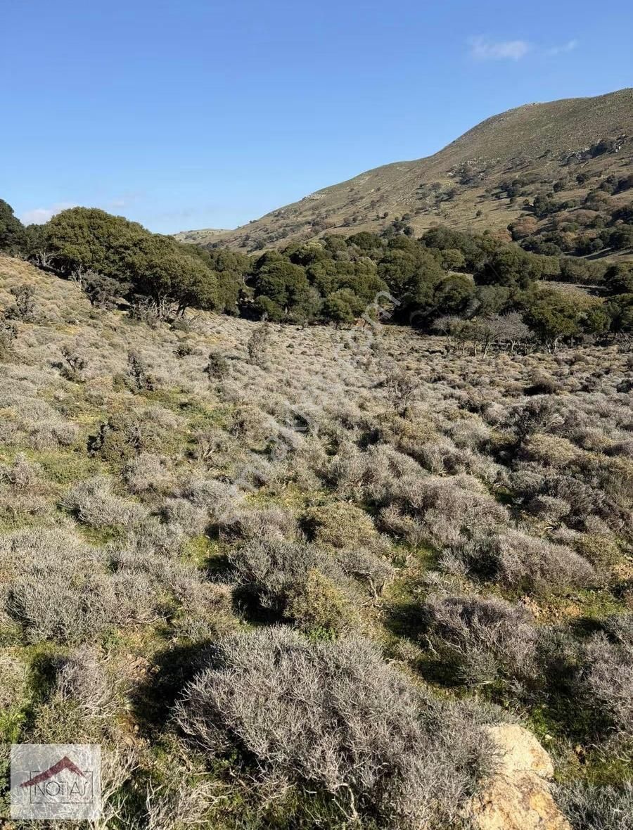 Notıas Real Estate Gayrimenkul'den 8.427 M2 Tarla - Görsel 10