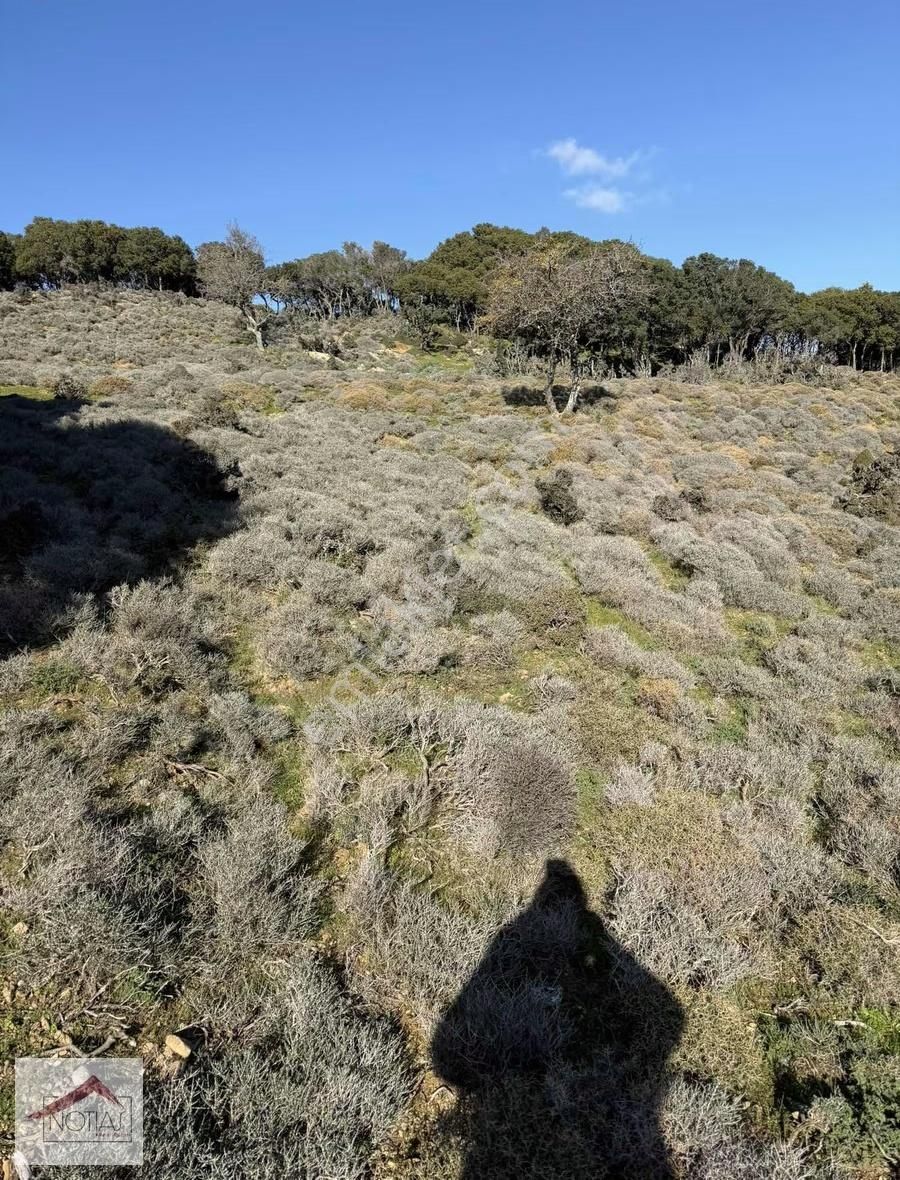 Notıas Real Estate Gayrimenkul'den 8.427 M2 Tarla - Görsel 2