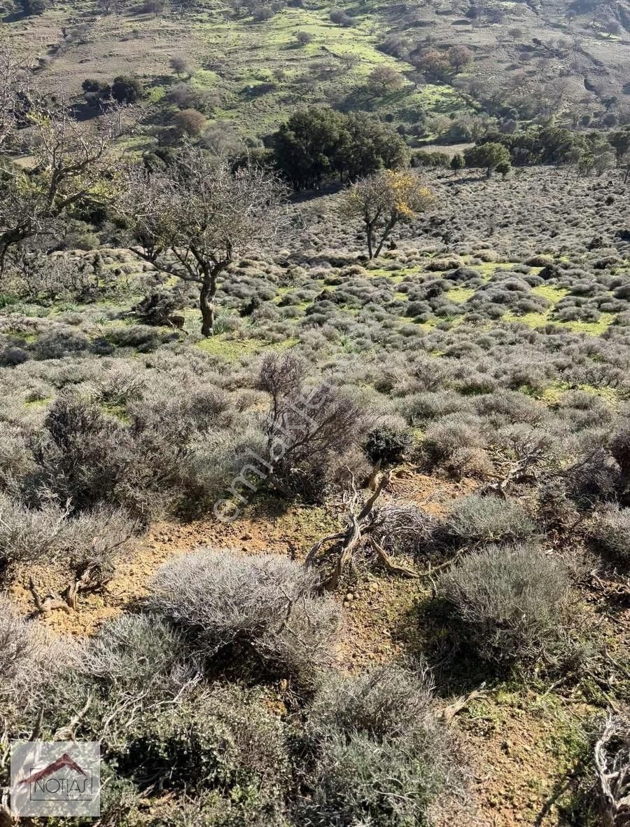 Notıas Real Estate Gayrimenkul'den 8.427 M2 Tarla - Görsel 5