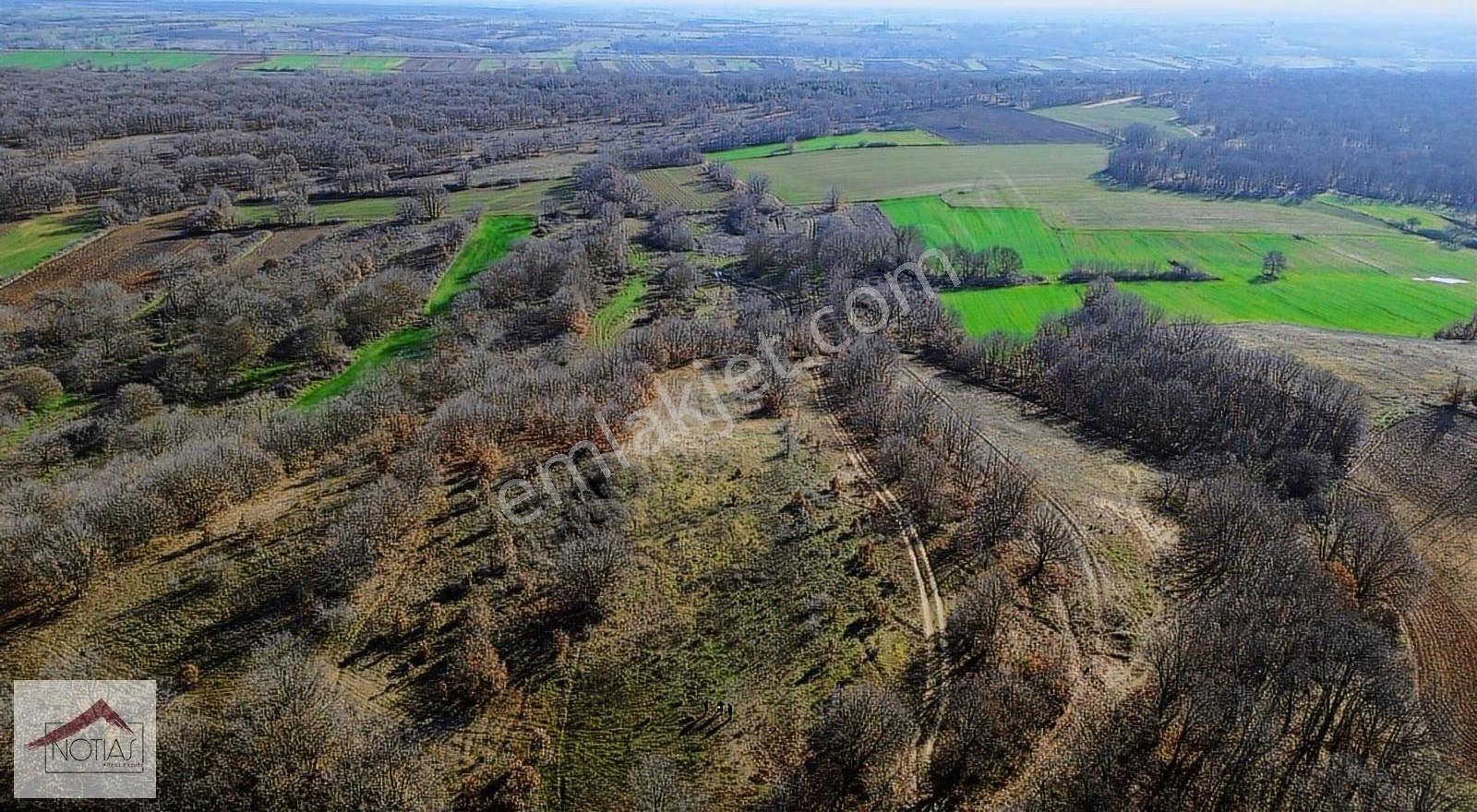 Notıas Real Estate Gayrimenkul'den 13 Adet Tarla 45 Dönüm - Görsel 11