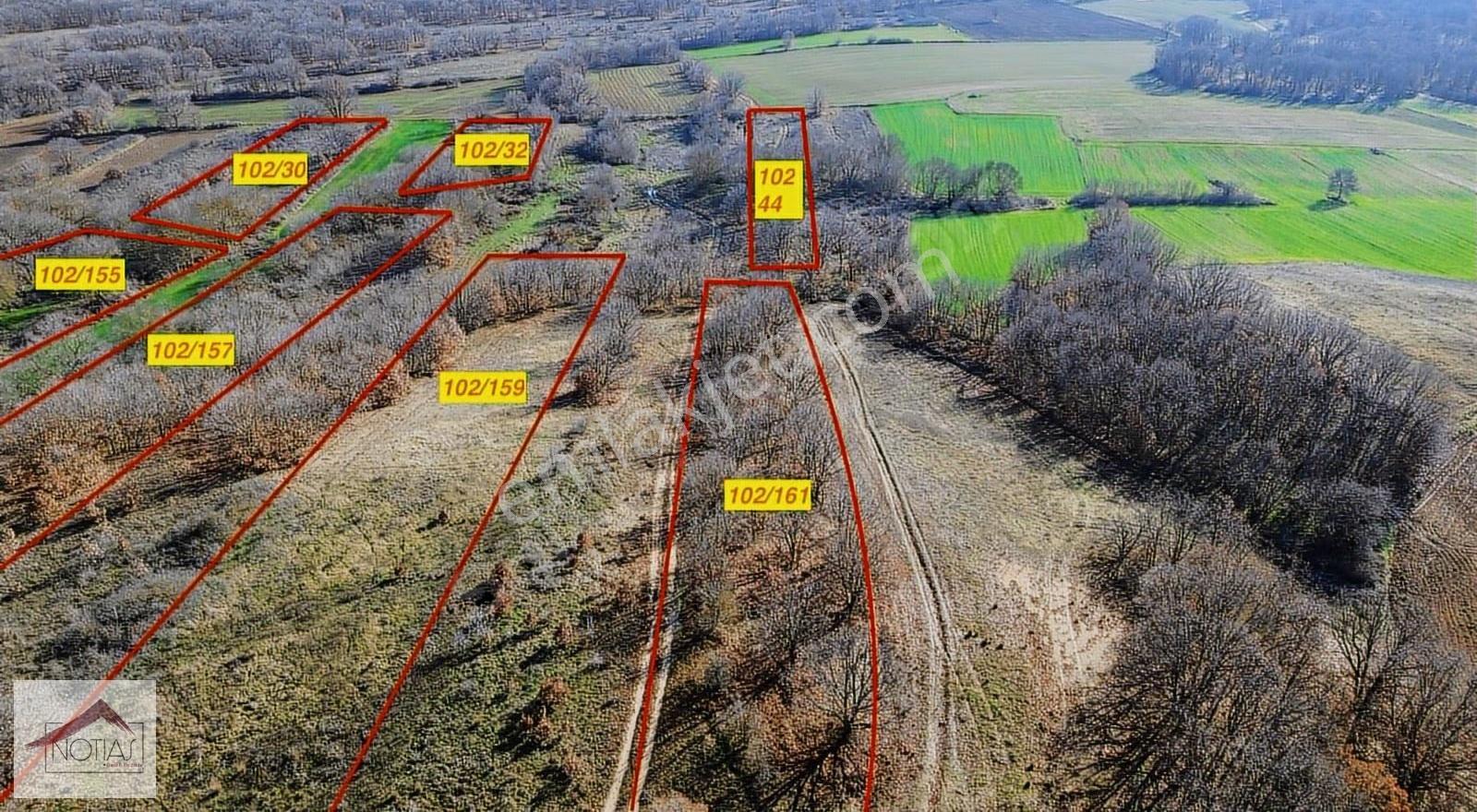 Notıas Real Estate Gayrimenkul'den 13 Adet Tarla 45 Dönüm - Görsel 3
