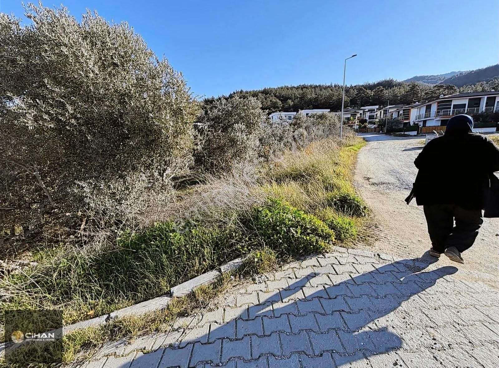 Kuşadası Davutlar Merkez İki Villalık 500m2 Arsa - Görsel 6