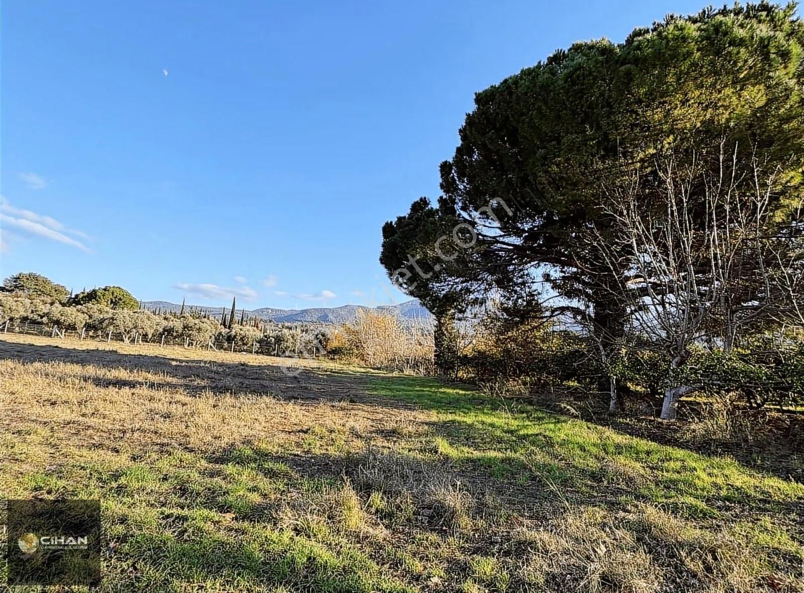 Kuşadası Davutlar Merkez İki Villalık 500m2 Arsa - Görsel 3