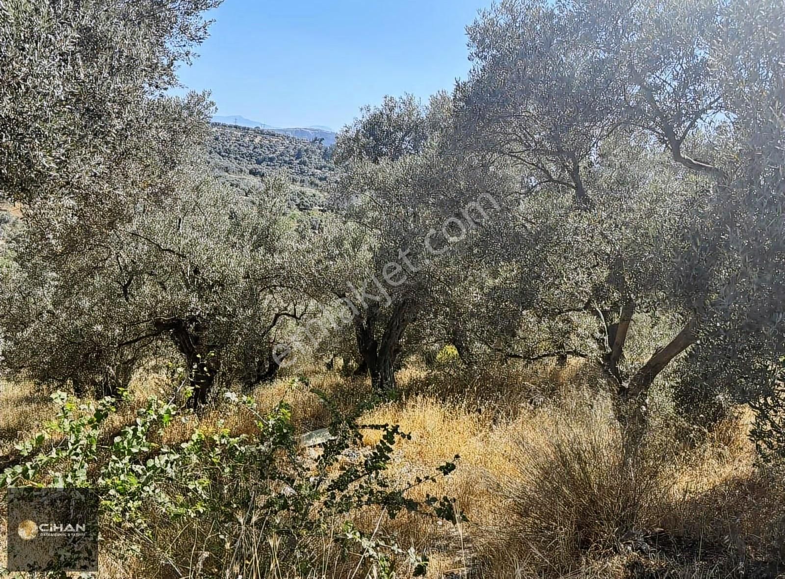 Ana Cadde Üzeri 12 Dönüm Deniz Manzaralı İmar Planı İçinde Tarla - Görsel 8