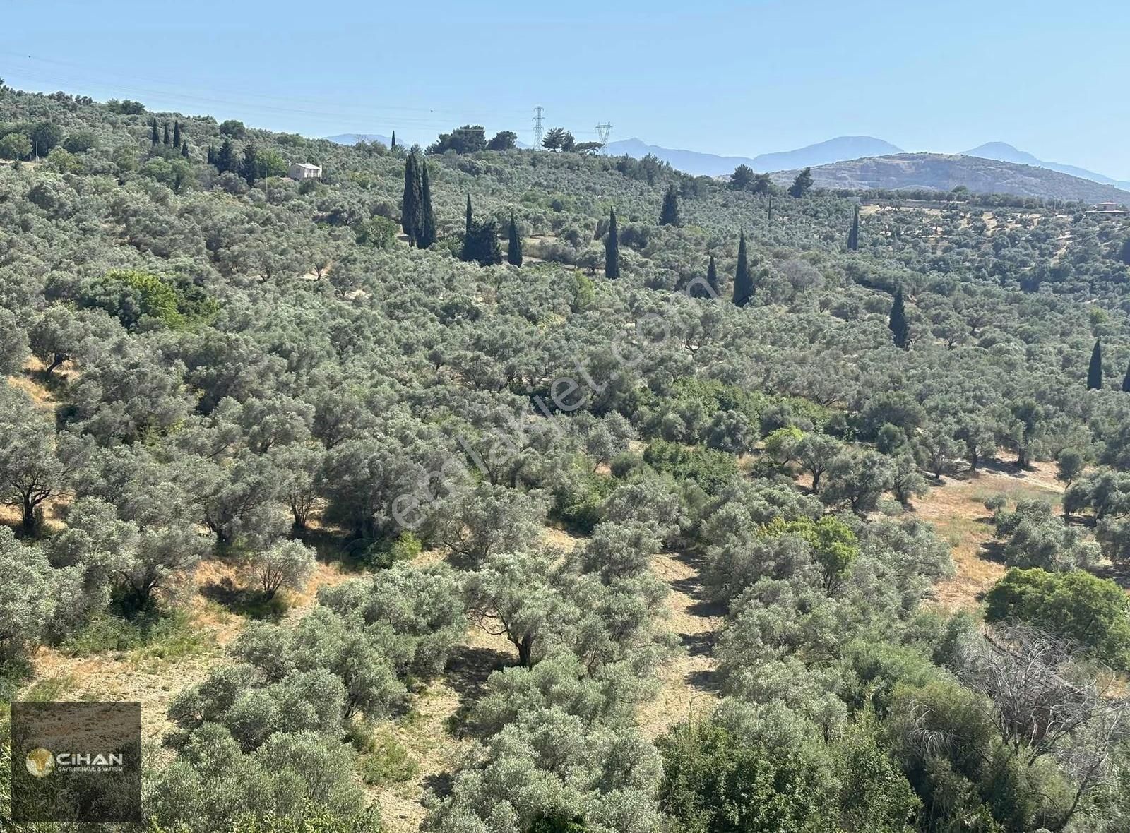 Ana Cadde Üzeri 12 Dönüm Deniz Manzaralı İmar Planı İçinde Tarla - Görsel 7