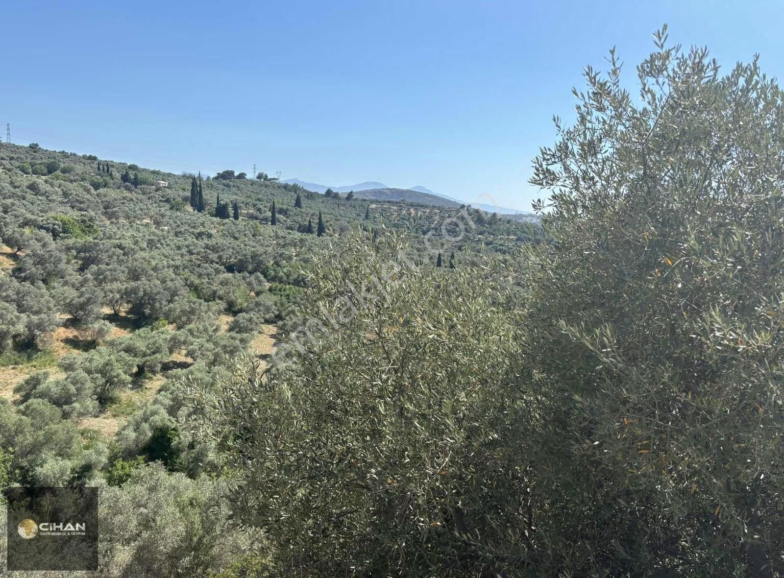 Ana Cadde Üzeri 12 Dönüm Deniz Manzaralı İmar Planı İçinde Tarla - Görsel 16