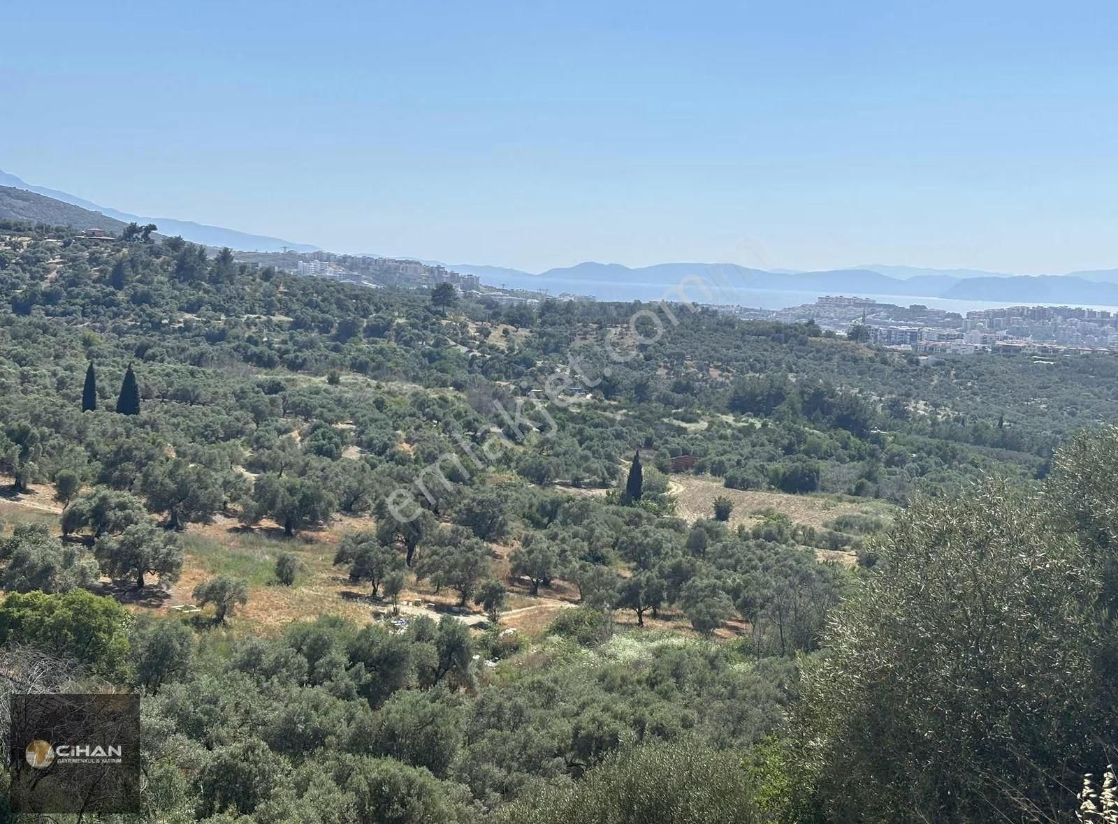 Ana Cadde Üzeri 12 Dönüm Deniz Manzaralı İmar Planı İçinde Tarla - Görsel 2