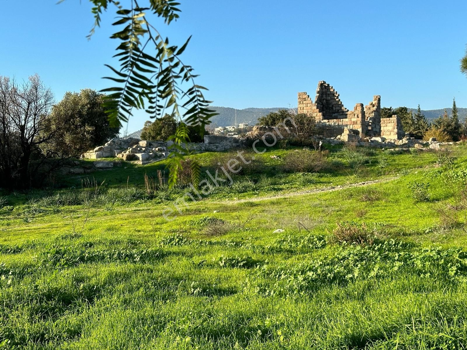 Eskiçeşme'de Geniş Bahçeli Ve Havuzlu Satılık Villa - Görsel 25