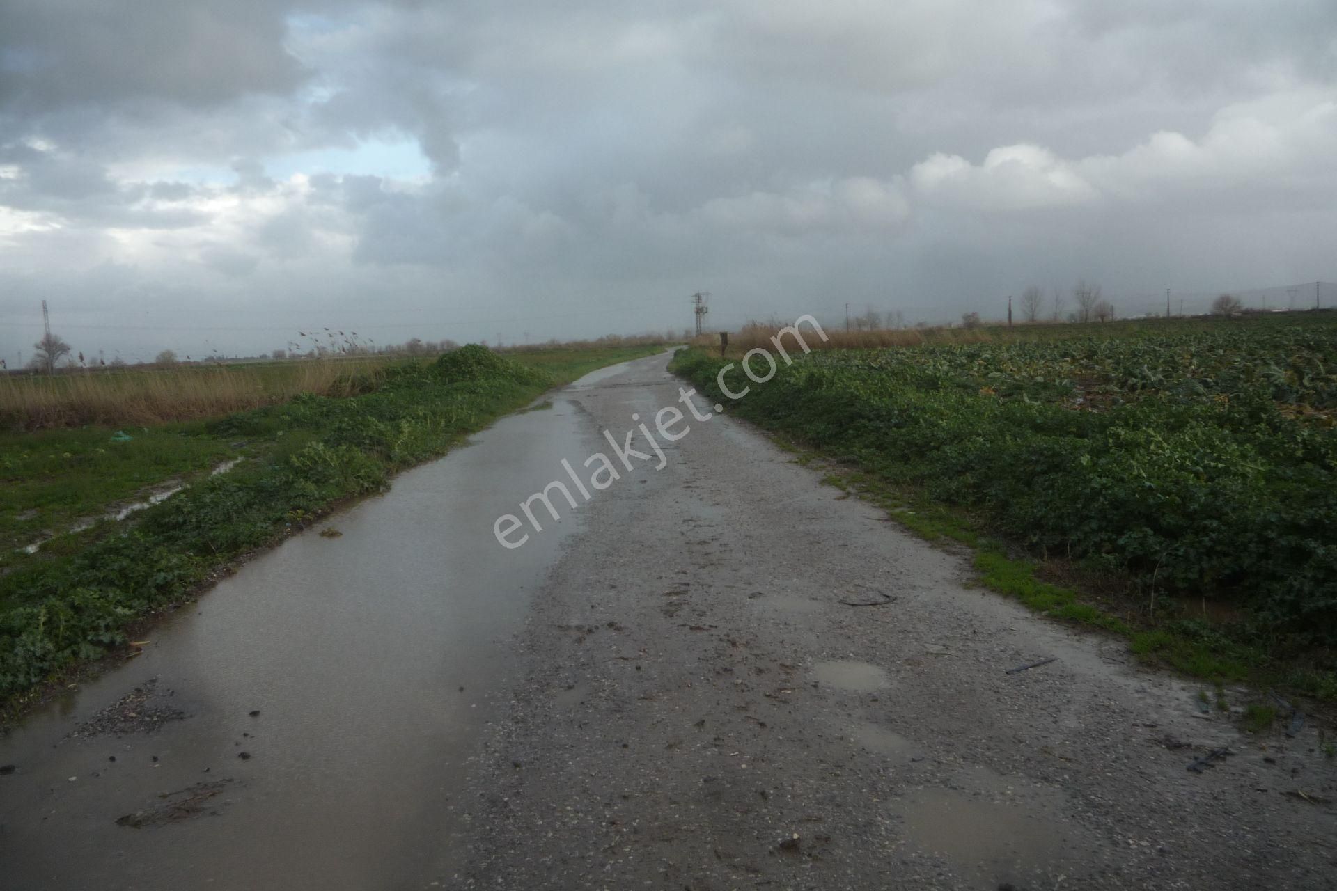 İzmir Torbalı Gold Emlaktan Çırpıda Satılımk Tarla