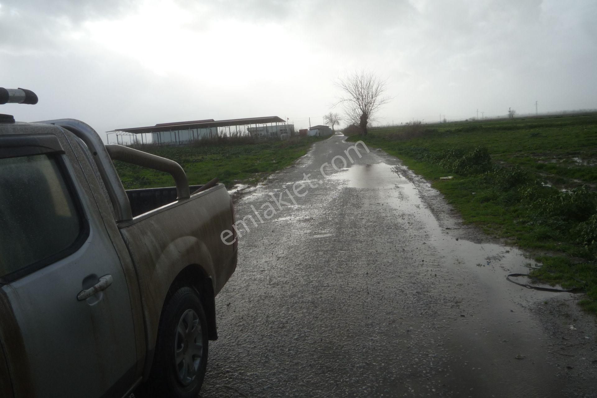 İzmir Torbalı Gold Emlaktan Çırpıda Satılımk Tarla - Görsel 2