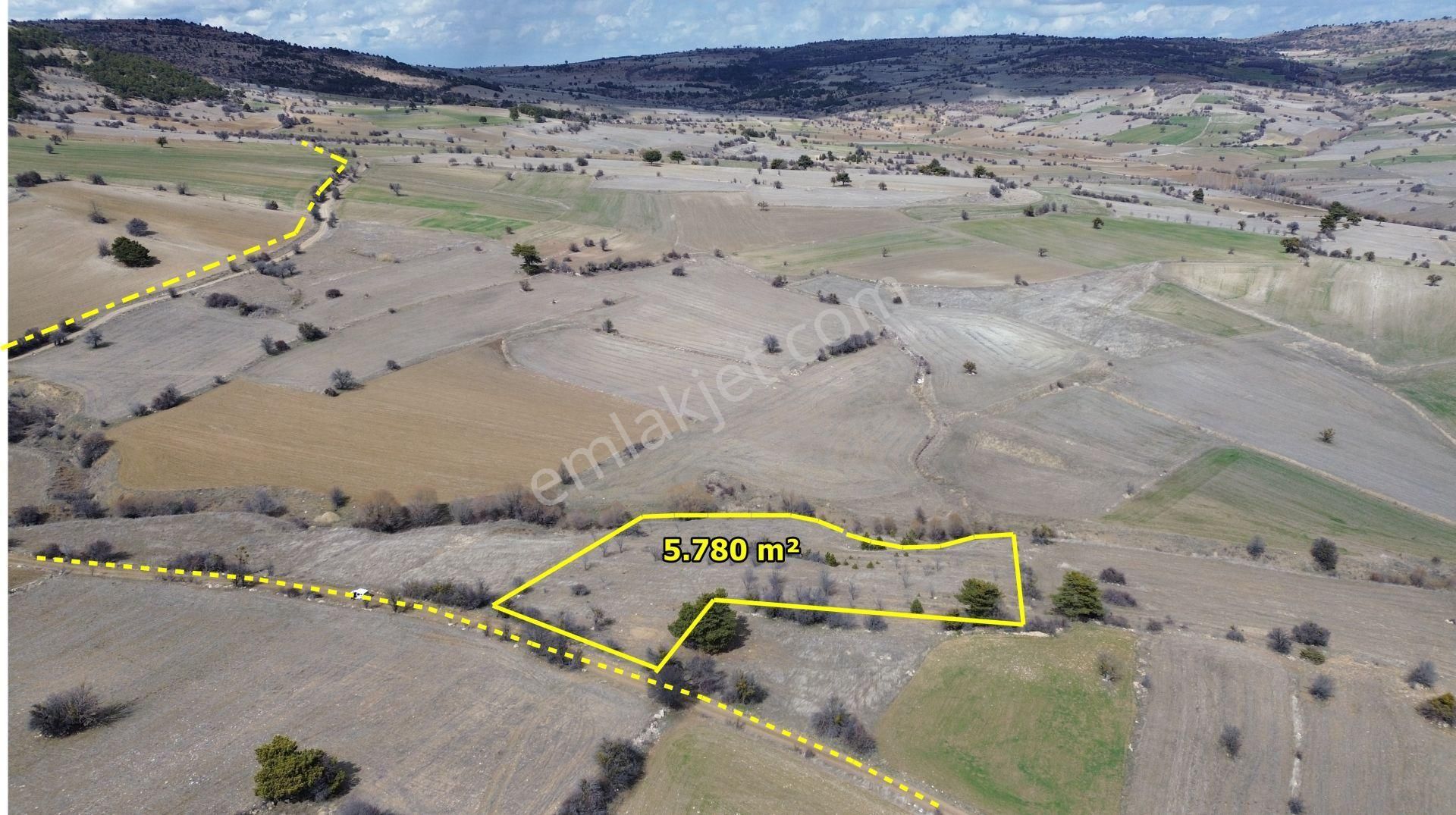 Konya / Ilgın / Yukarıçiğil-büyük Mahallesinde 5.780 M² Müstakil Tapulu Tarla
