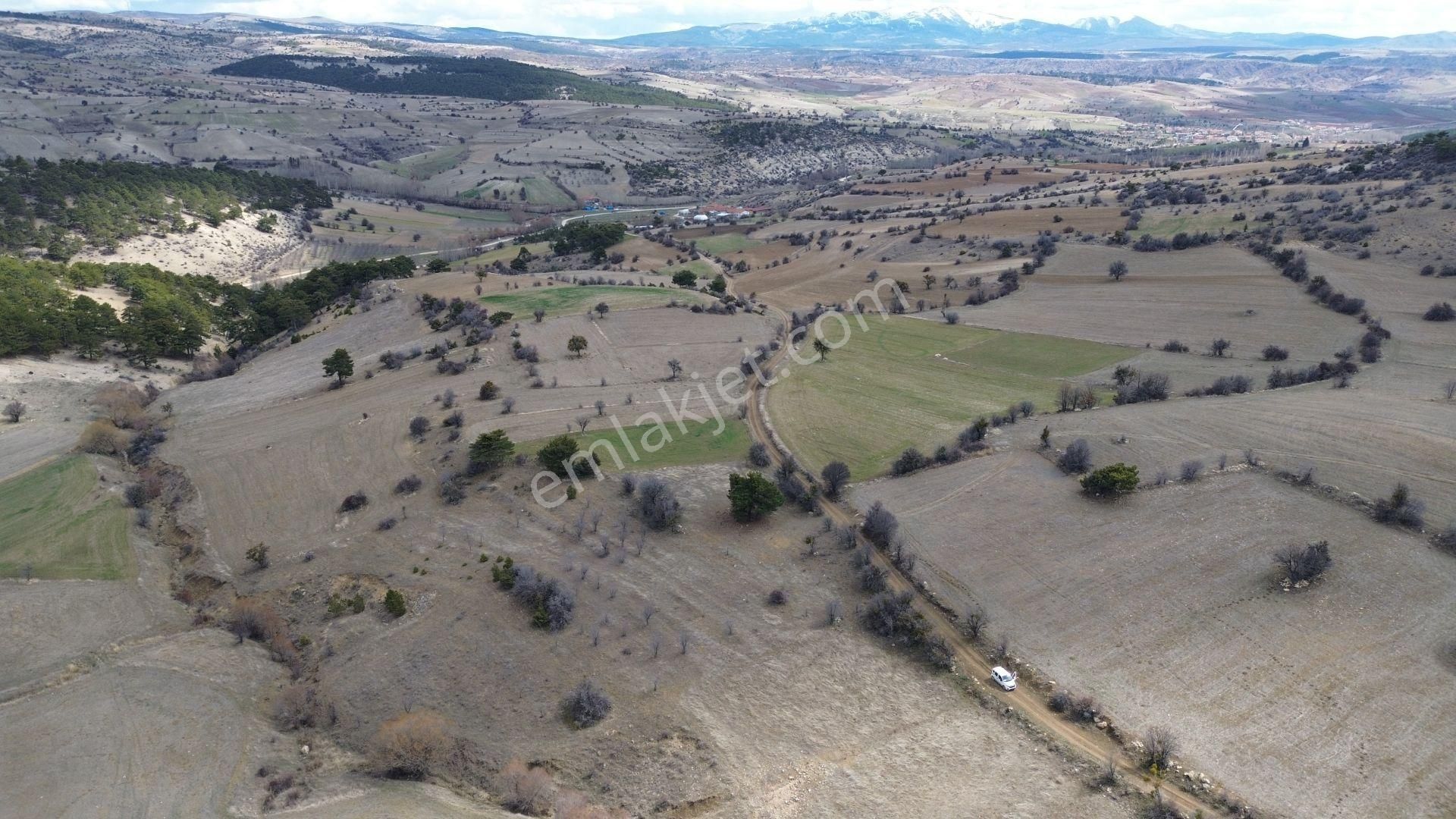 Konya / Ilgın / Yukarıçiğil-büyük Mahallesinde 5.780 M² Müstakil Tapulu Tarla - Görsel 6
