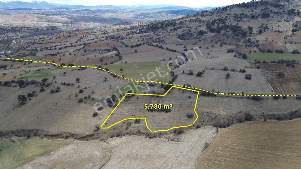 Konya / Ilgın / Yukarıçiğil-büyük Mahallesinde 5.780 M² Müstakil Tapulu Tarla - Görsel 4