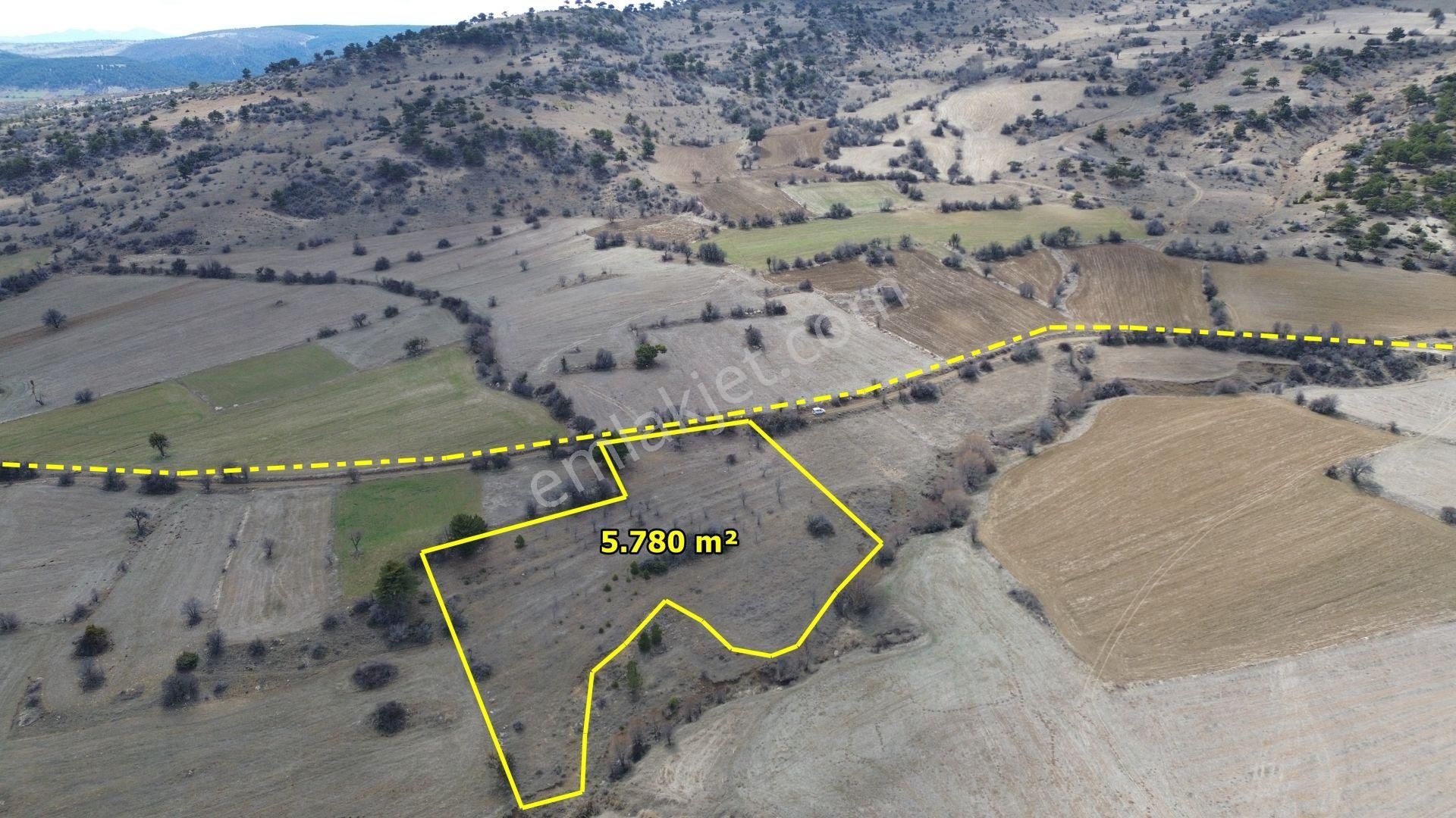 Konya / Ilgın / Yukarıçiğil-büyük Mahallesinde 5.780 M² Müstakil Tapulu Tarla - Görsel 9