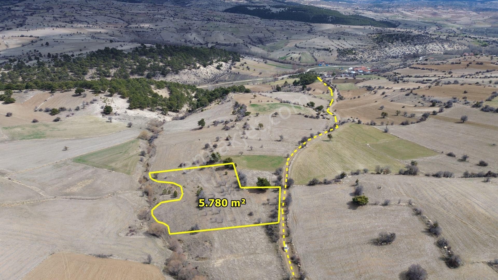Konya / Ilgın / Yukarıçiğil-büyük Mahallesinde 5.780 M² Müstakil Tapulu Tarla - Görsel 7