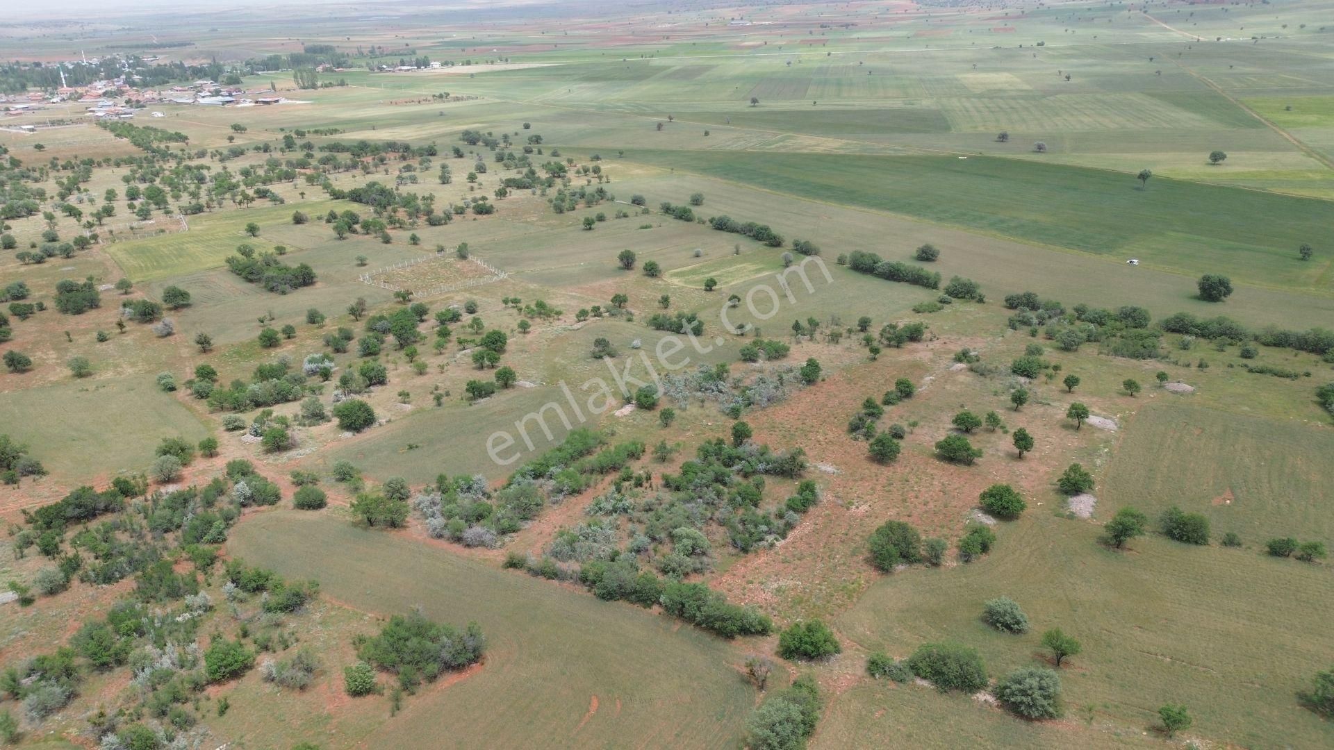 Konya / Akören / Karahüyük Mahallesinde 1.920 M² Müstakil Tapulu Bağ - Görsel 8