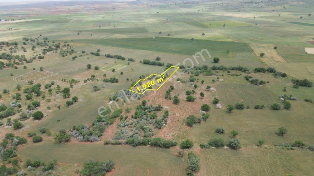 Konya / Akören / Karahüyük Mahallesinde 1.920 M² Müstakil Tapulu Bağ - Görsel 4