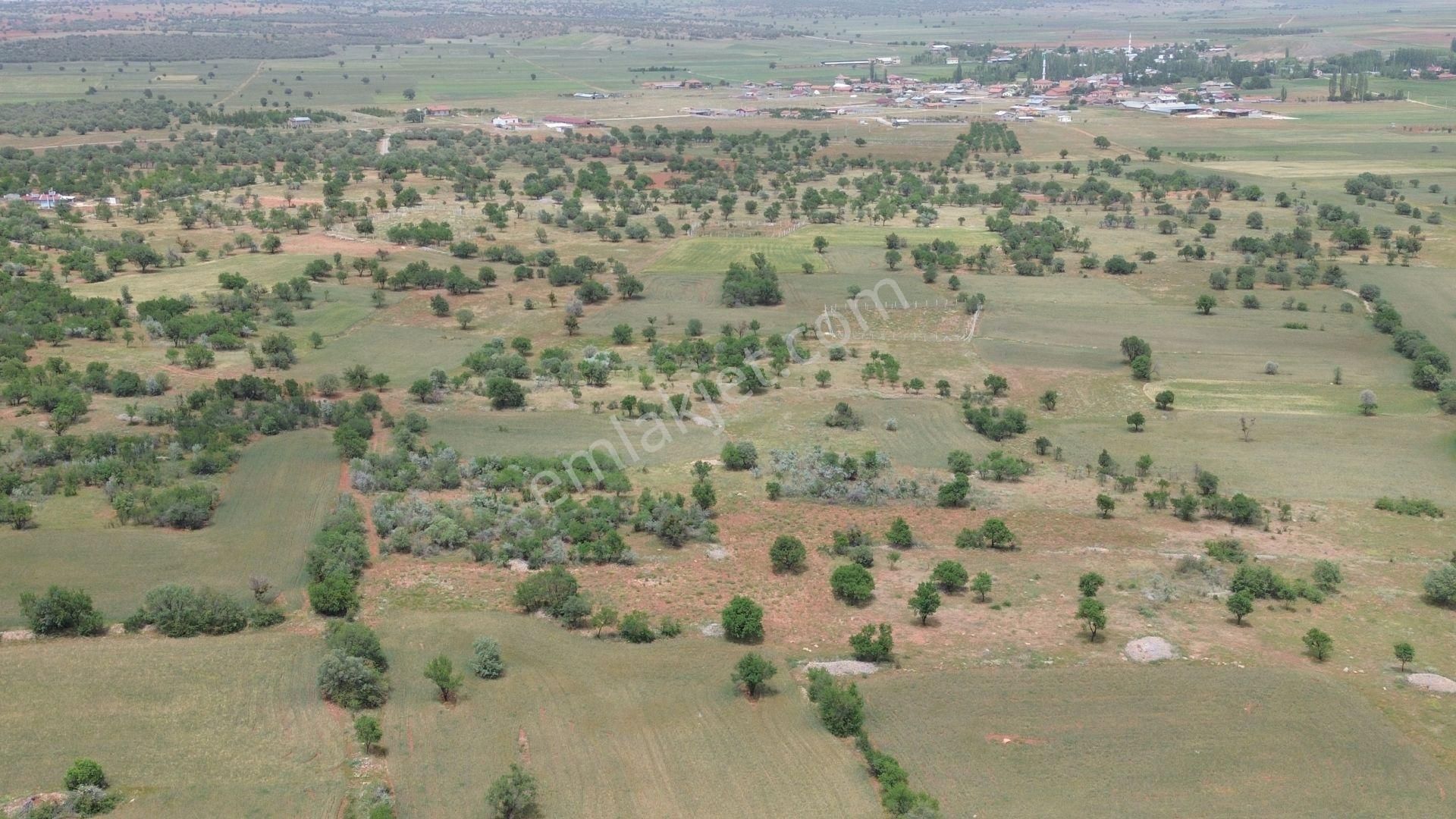 Konya / Akören / Karahüyük Mahallesinde 1.920 M² Müstakil Tapulu Bağ - Görsel 11