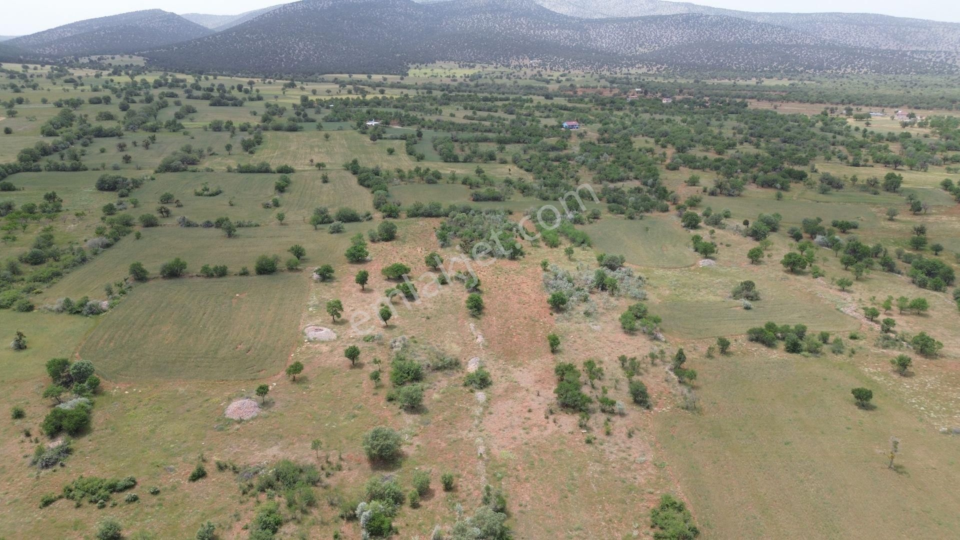 Konya / Akören / Karahüyük Mahallesinde 1.920 M² Müstakil Tapulu Bağ - Görsel 9