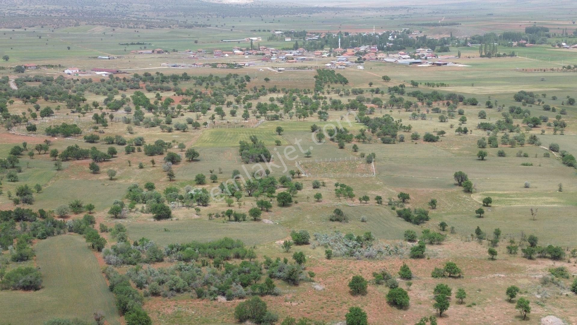 Konya / Akören / Karahüyük Mahallesinde 1.920 M² Müstakil Tapulu Bağ - Görsel 10