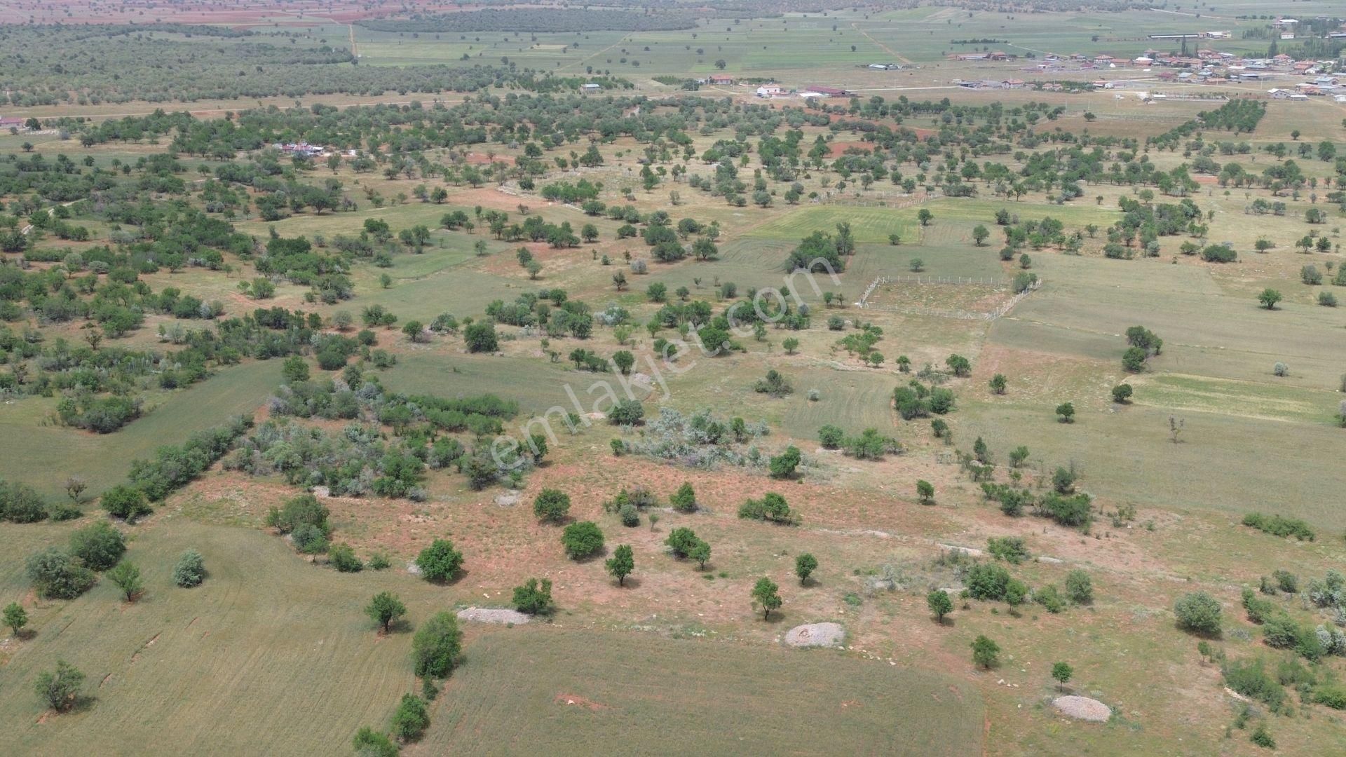 Konya / Akören / Karahüyük Mahallesinde 1.920 M² Müstakil Tapulu Bağ - Görsel 6