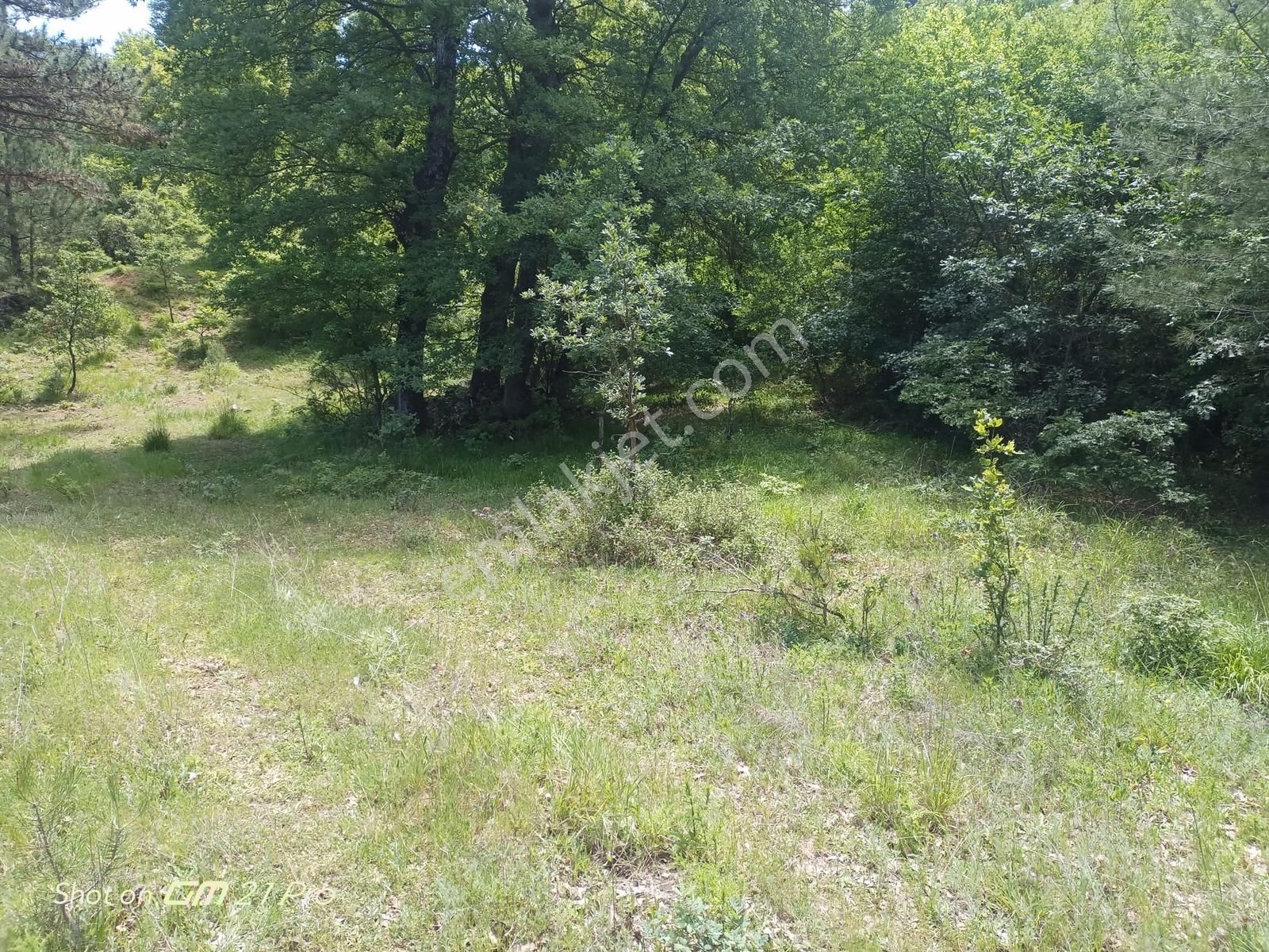 Araç Takasına Uygun 1945 M2 Arsa - Görsel 2