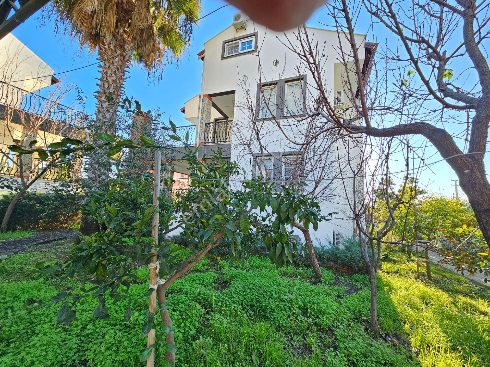 Goldhouse Dan Satılık Villa Doğa İçerisinde Havuzlu Fırsat 5+1 - Görsel 8