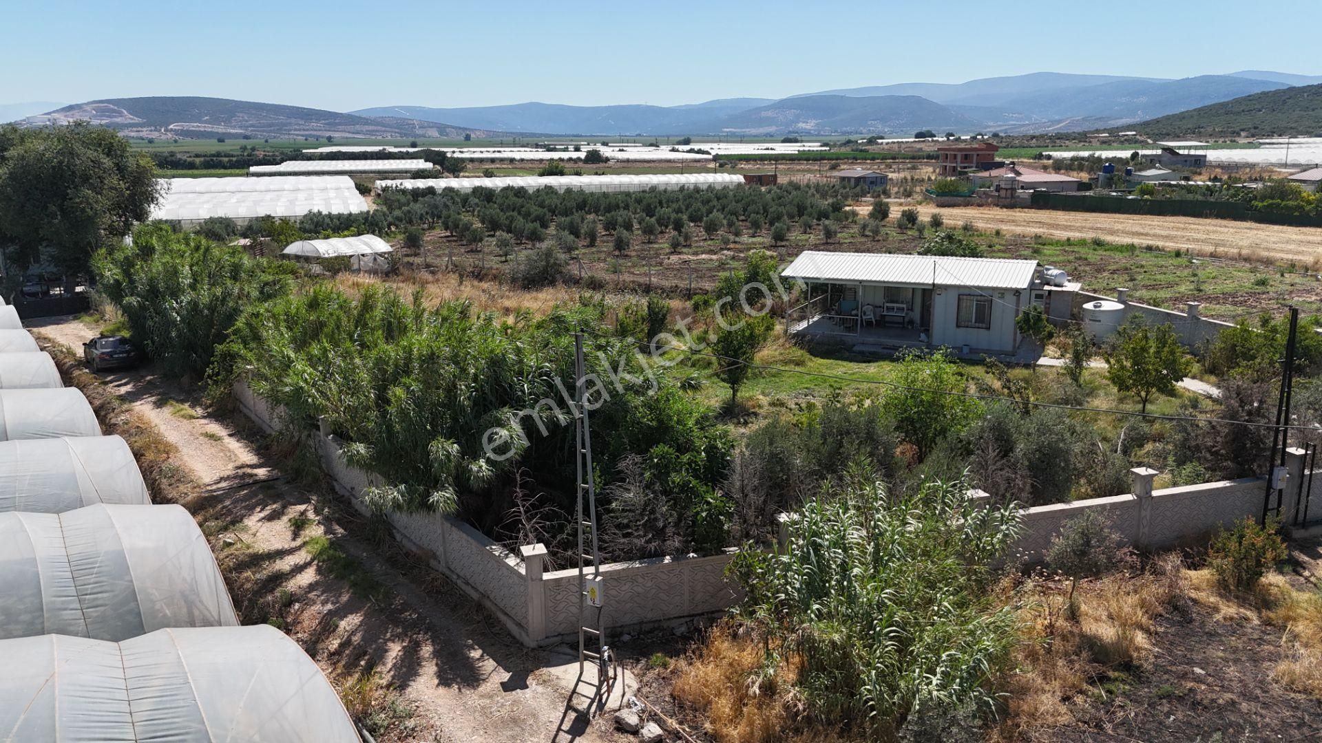 İzmir Menderes Çilemede Ulaşım Önünde 1+1 Evi Elektrik Su Abonelikleri 900 M2 Arsa - Görsel 19