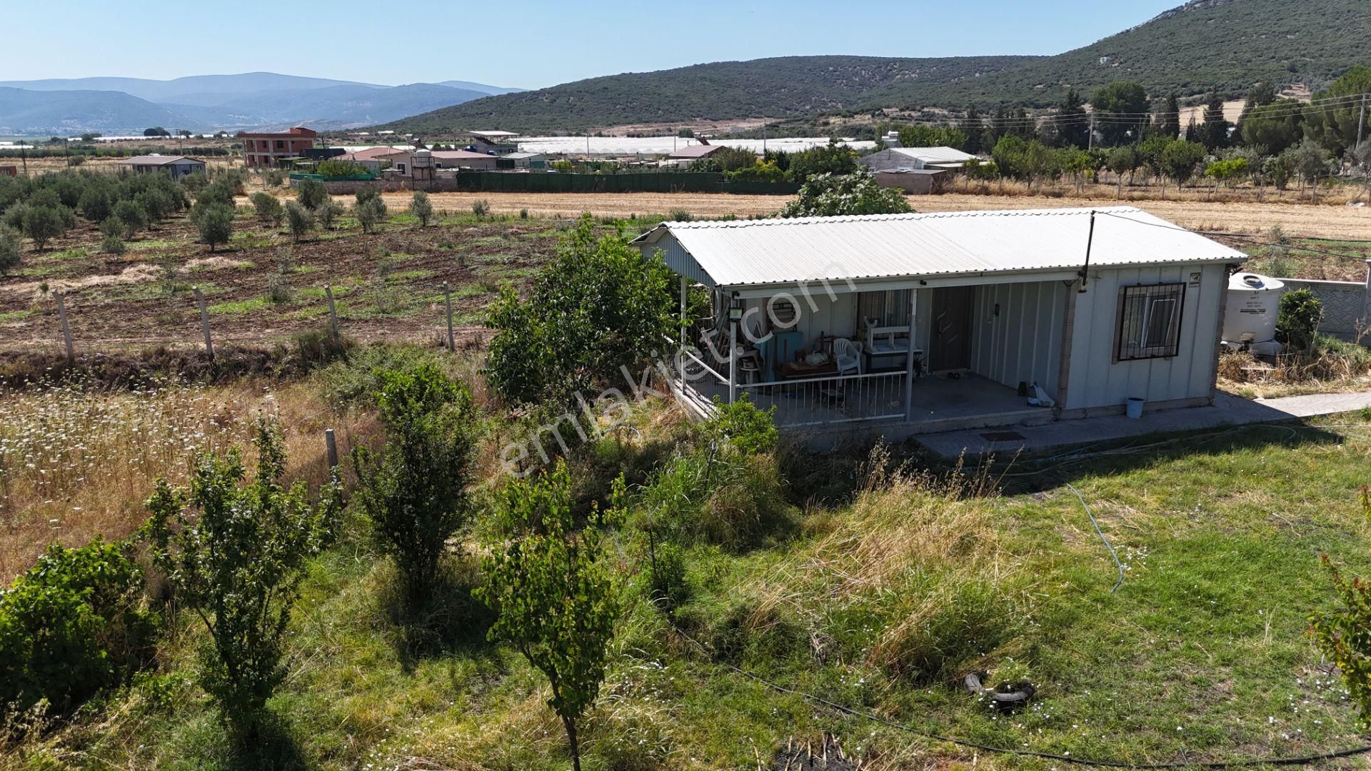 İzmir Menderes Çilemede Ulaşım Önünde 1+1 Evi Elektrik Su Abonelikleri 900 M2 Arsa - Görsel 22