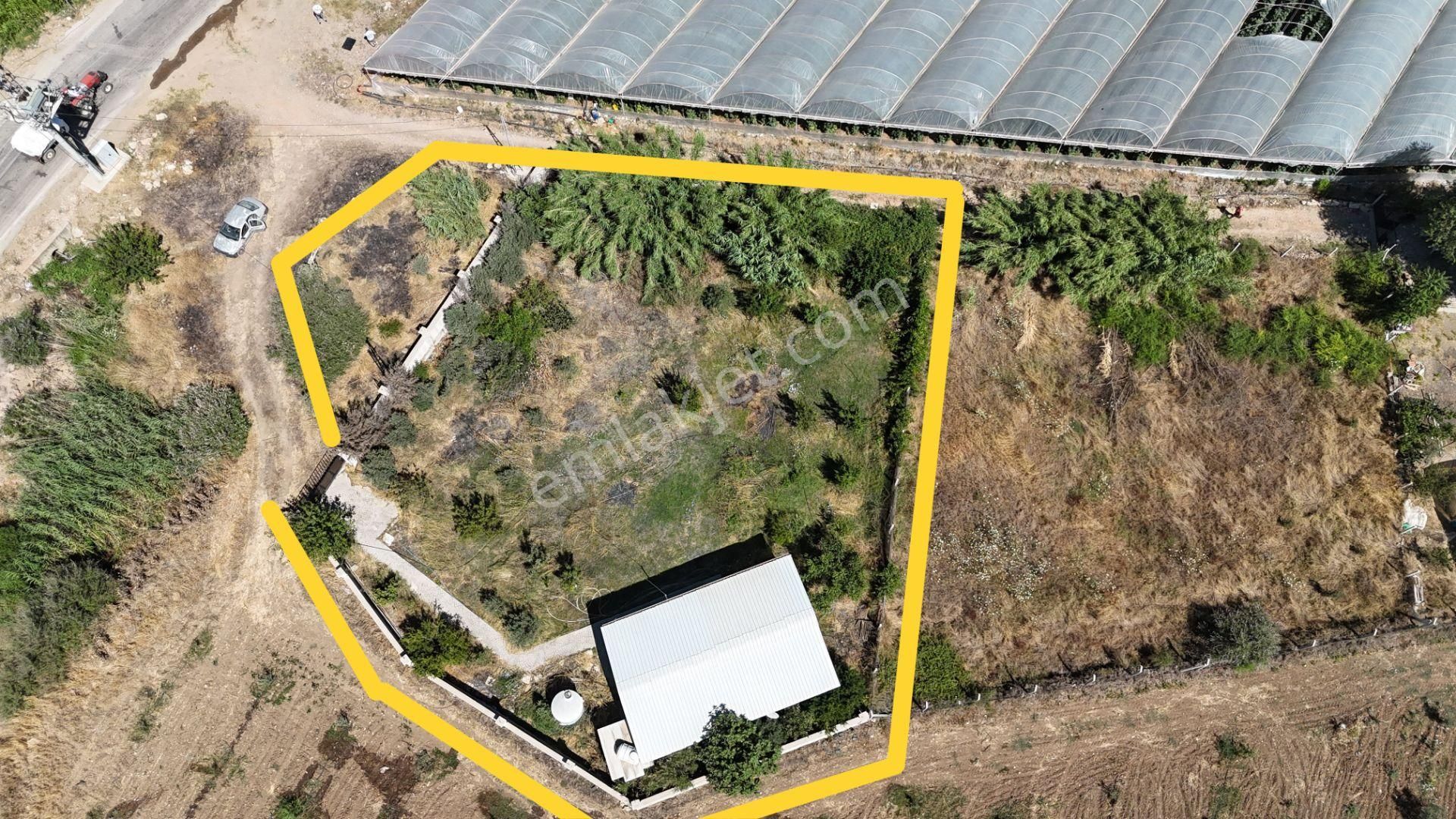 İzmir Menderes Çilemede Ulaşım Önünde 1+1 Evi Elektrik Su Abonelikleri 900 M2 Arsa - Görsel 23