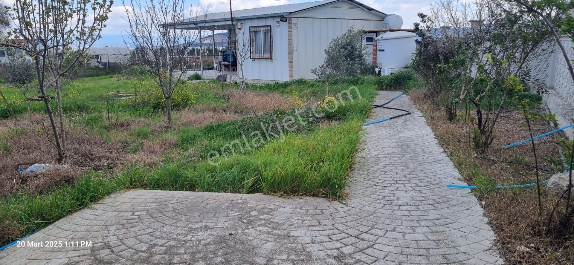 İzmir Menderes Çilemede Ulaşım Önünde 1+1 Evi Elektrik Su Abonelikleri 900 M2 Arsa - Görsel 24