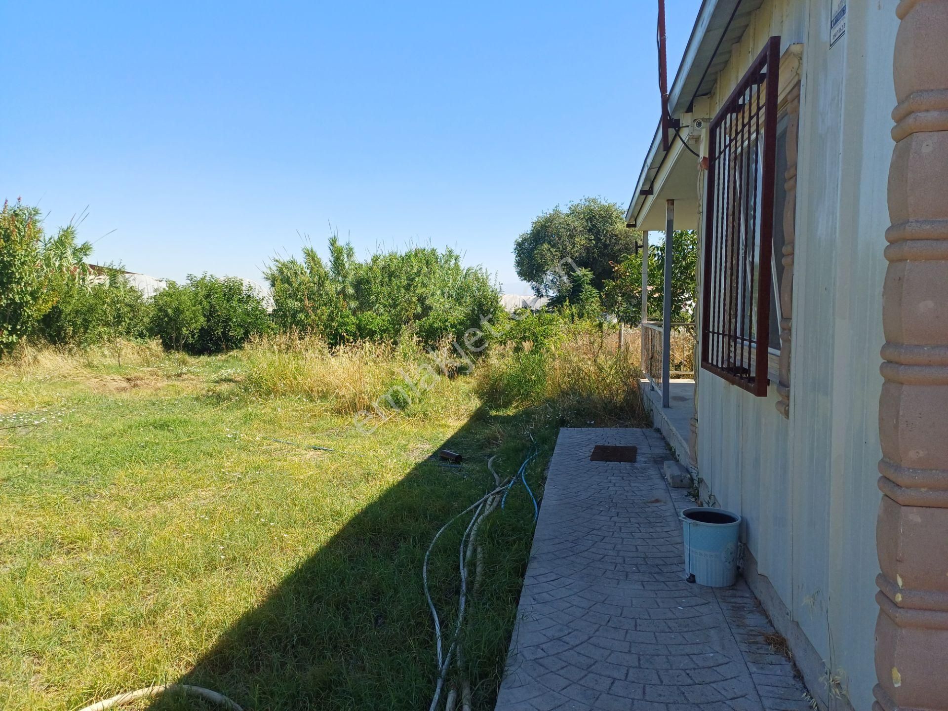 İzmir Menderes Çilemede Ulaşım Önünde 1+1 Evi Elektrik Su Abonelikleri 900 M2 Arsa - Görsel 20