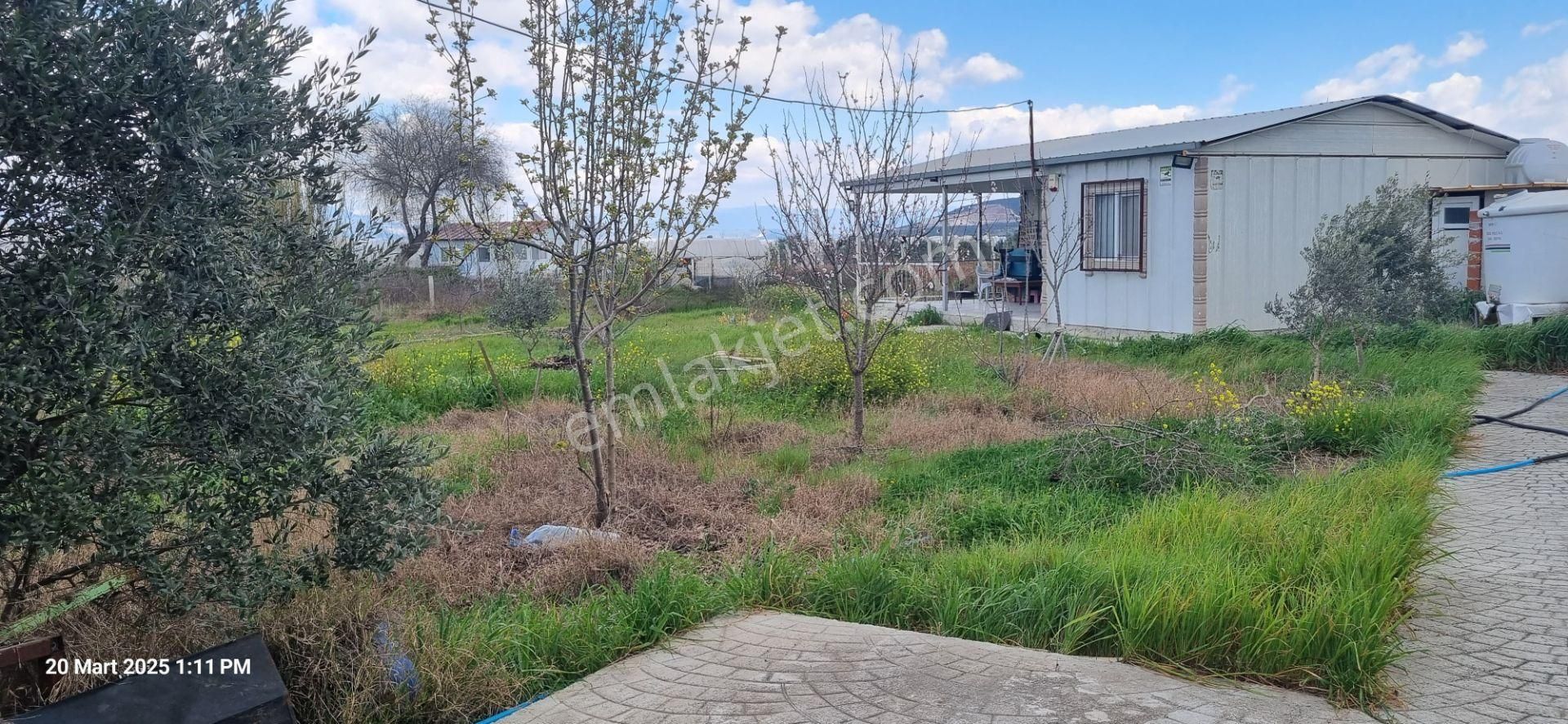 İzmir Menderes Çilemede Ulaşım Önünde 1+1 Evi Elektrik Su Abonelikleri 900 M2 Arsa - Görsel 15