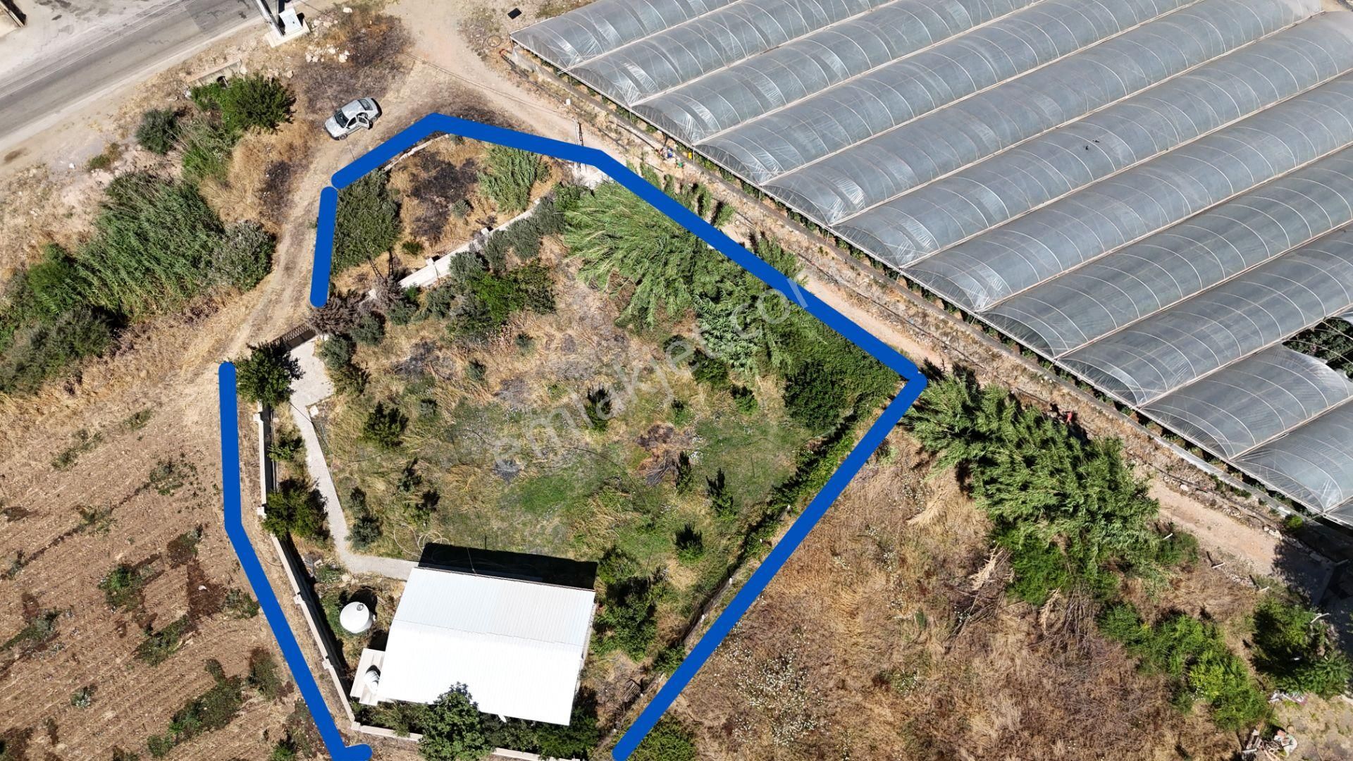 İzmir Menderes Çilemede Ulaşım Önünde 1+1 Evi Elektrik Su Abonelikleri 900 M2 Arsa - Görsel 11